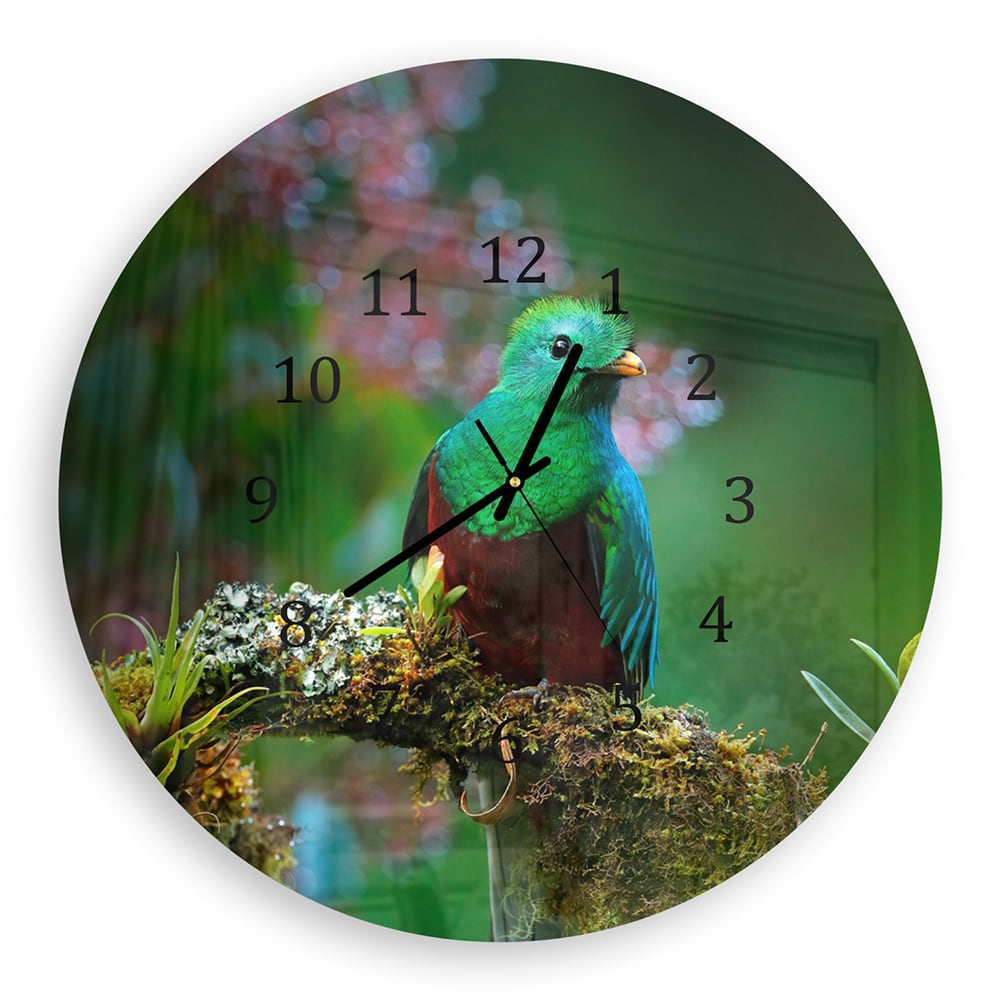 Wandklok Rond 30cm - Gehard Glas - Quetzal Vogel