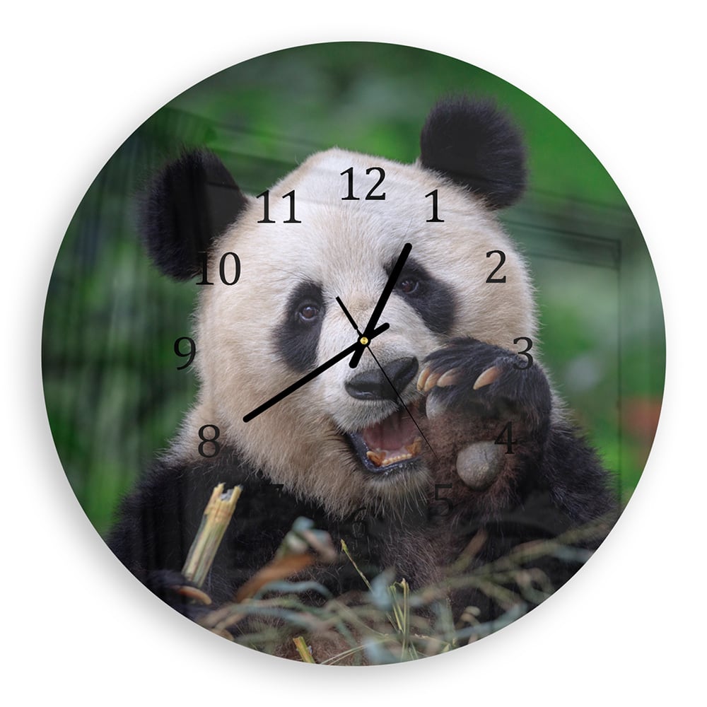 Wandklok Rond 30cm - Gehard Glas - Blije Panda