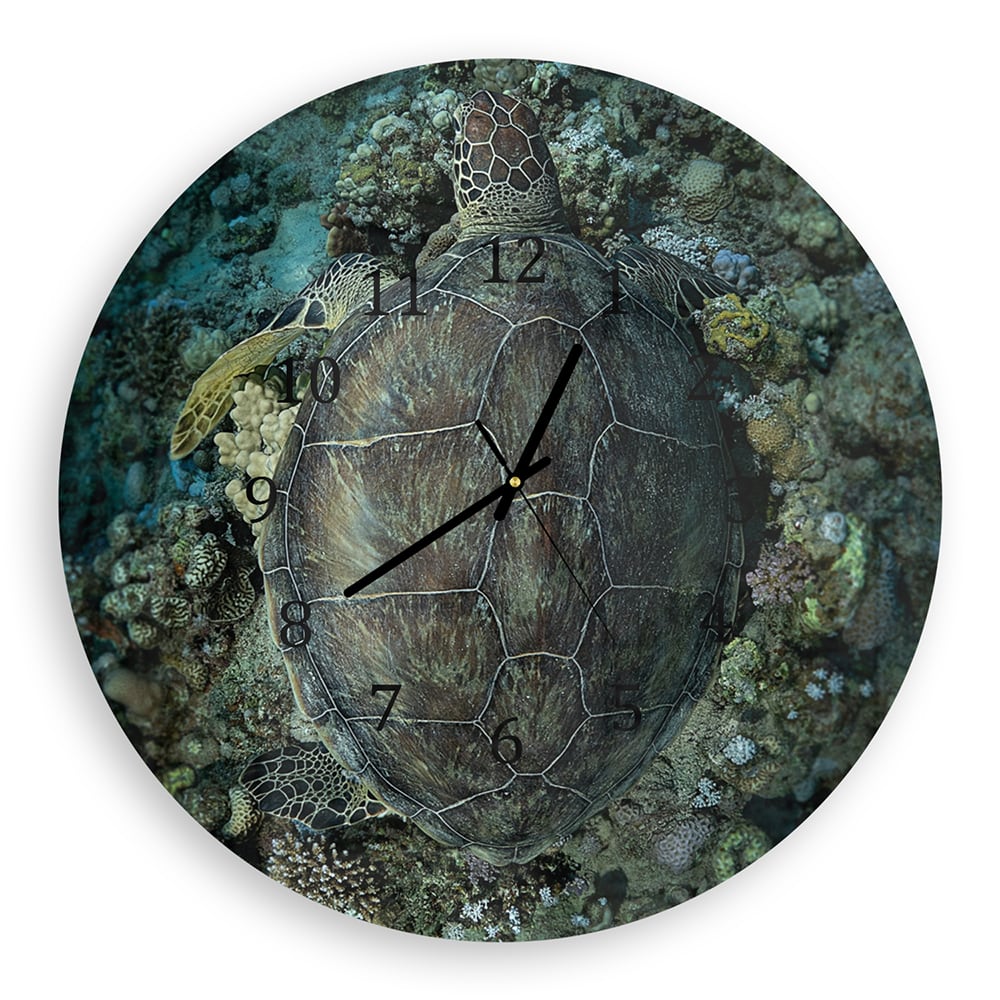 Wandklok Rond 30cm - Gehard Glas - Schildpad en Koraal