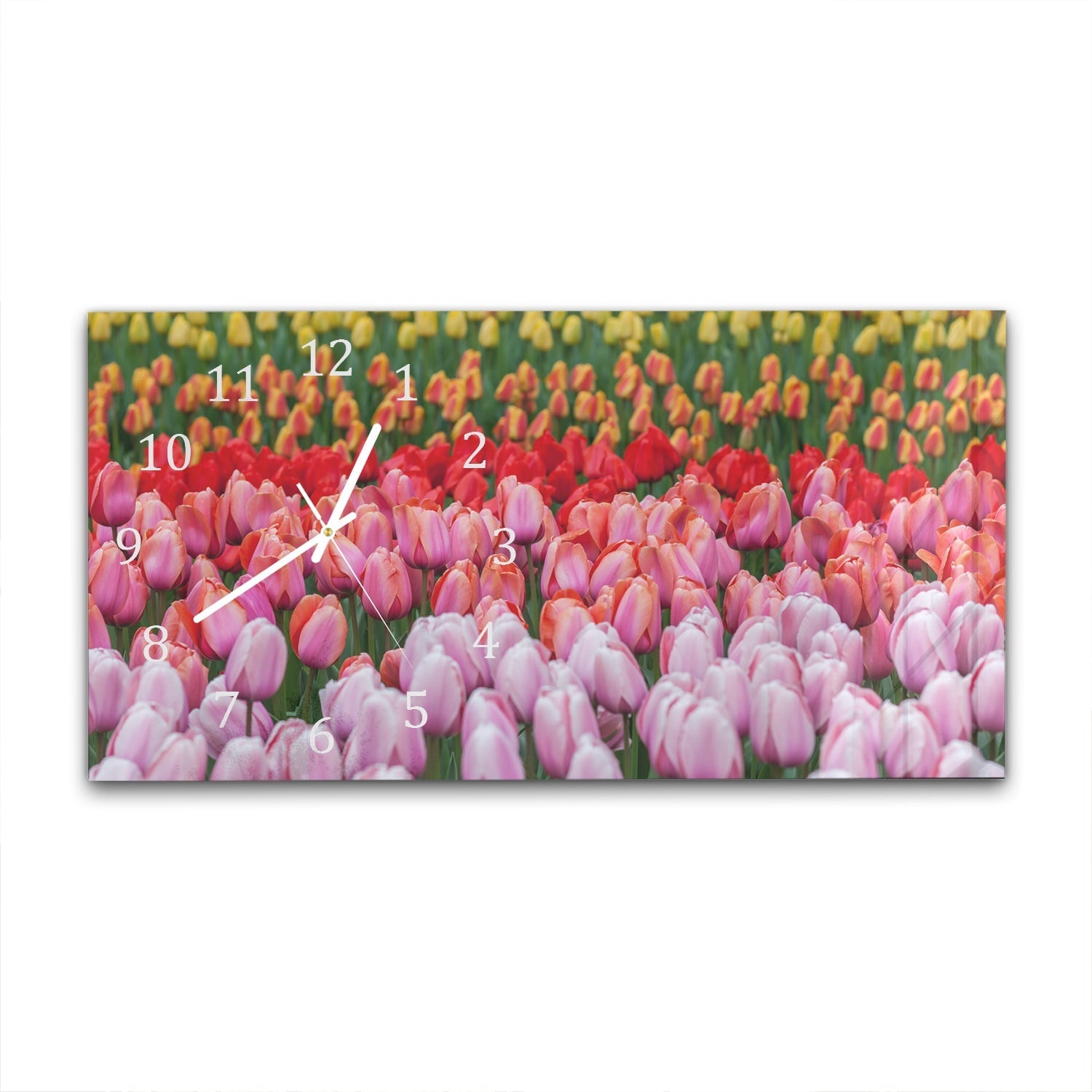 Wandklok 60x30 - Gehard Glas - Tulpenveld in Lisse