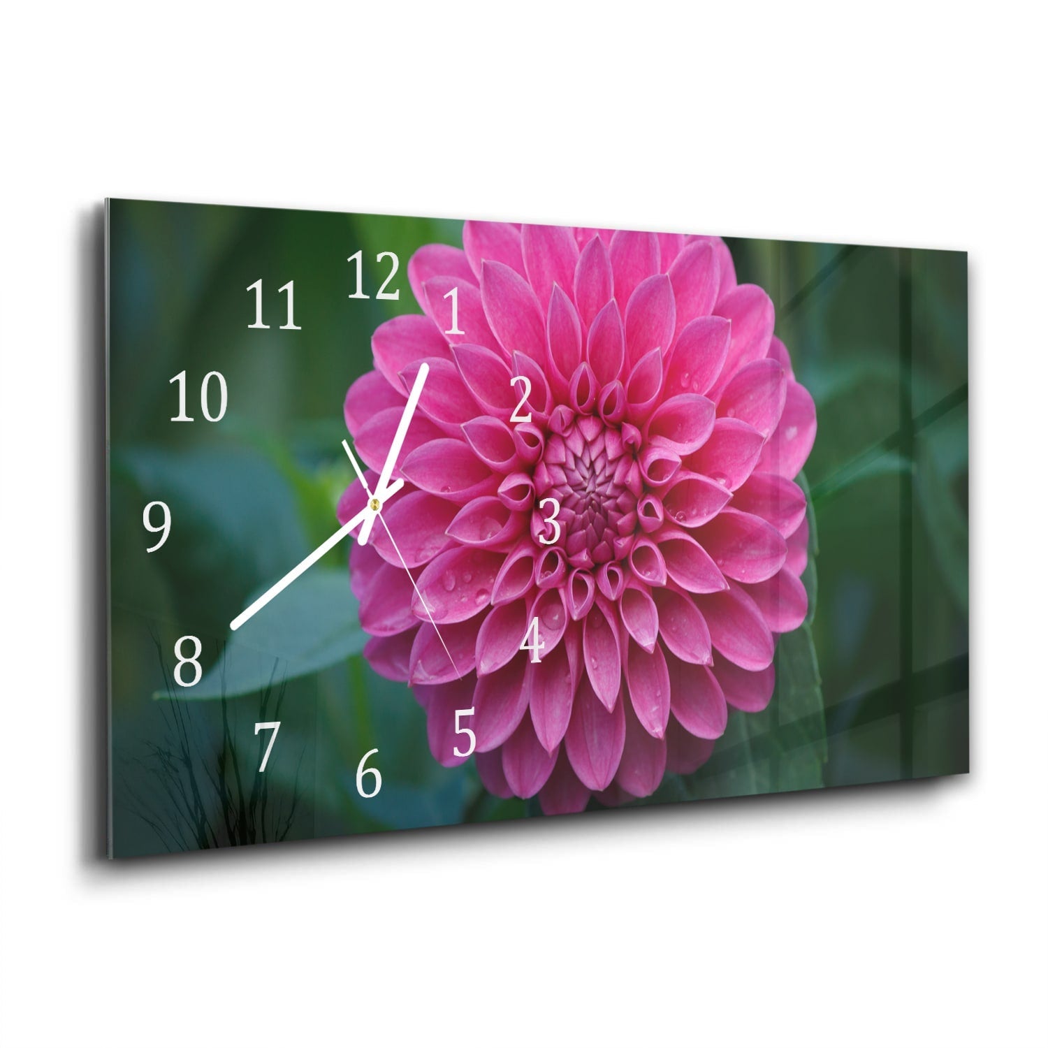 Wandklok 60x30 - Gehard Glas - Roze Dahlia