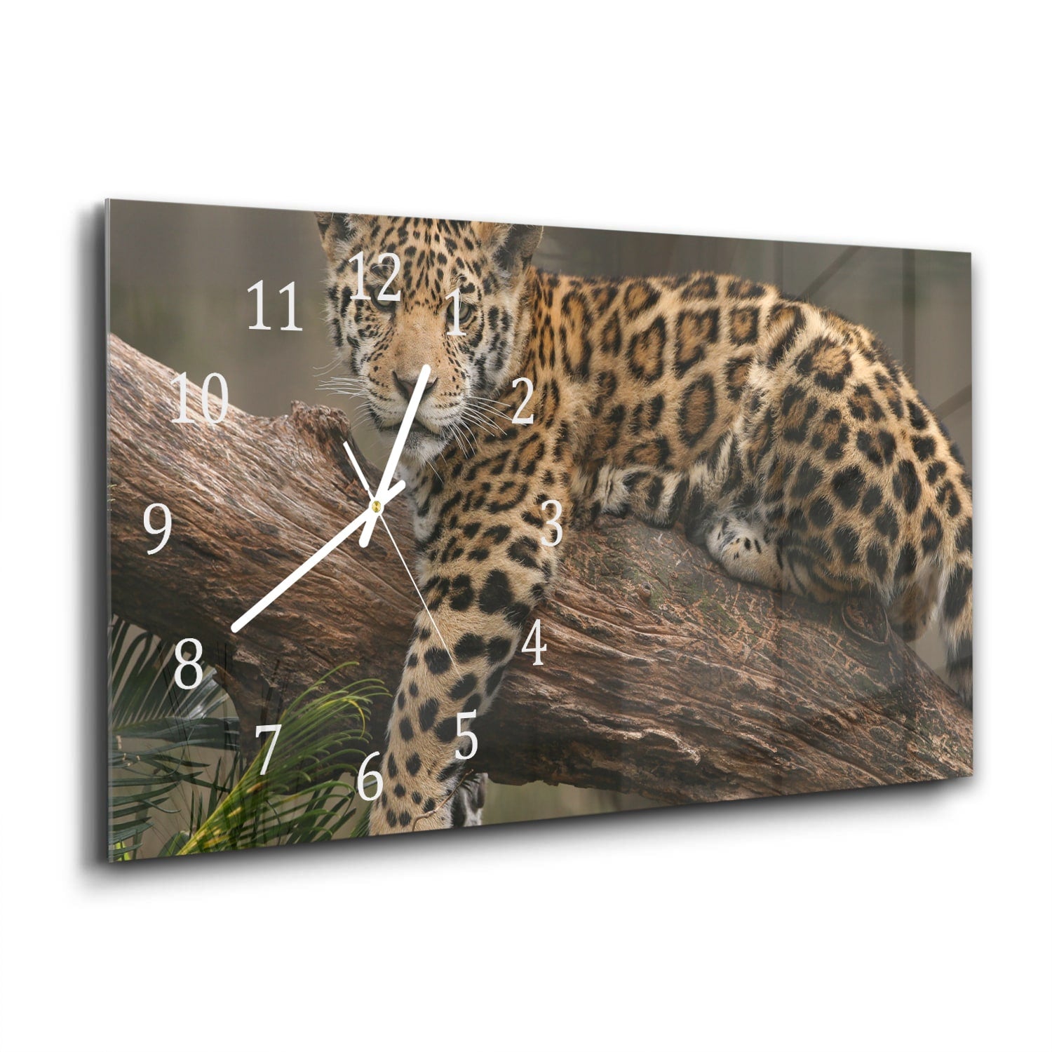 Wandklok 60x30 - Gehard Glas - Jaguar in de Boom