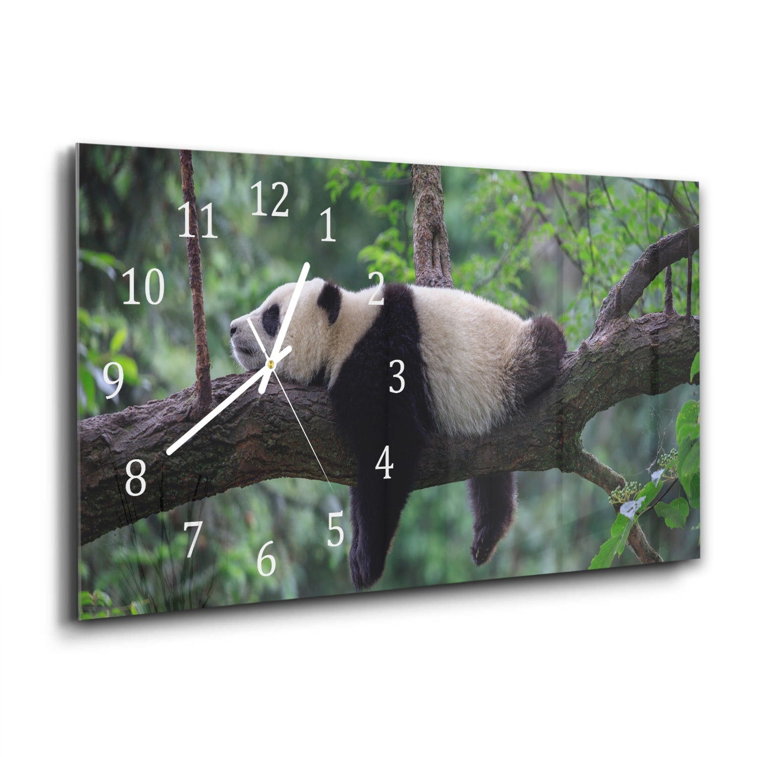 Wandklok 60x30 - Gehard Glas - Panda