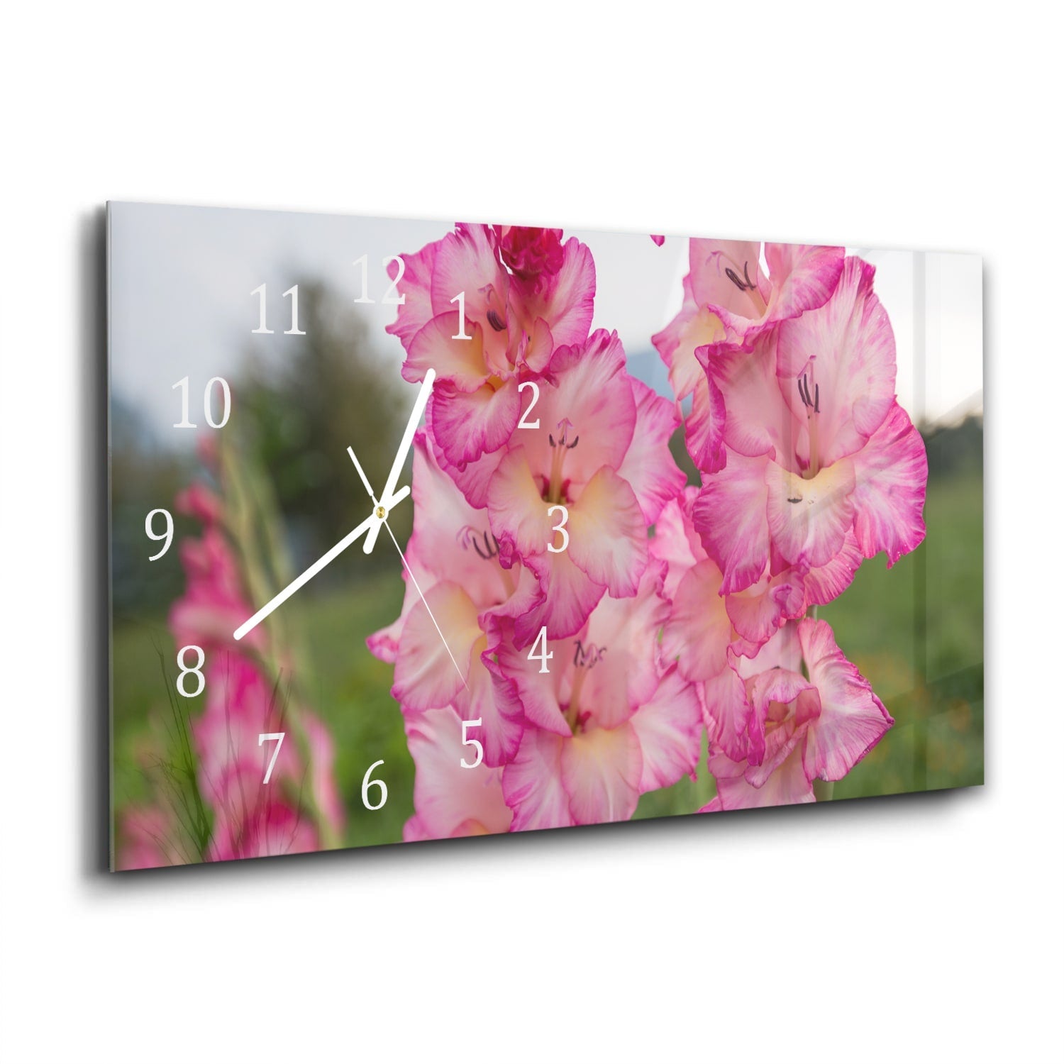 Wandklok 60x30 - Gehard Glas - Roze Gladiolen