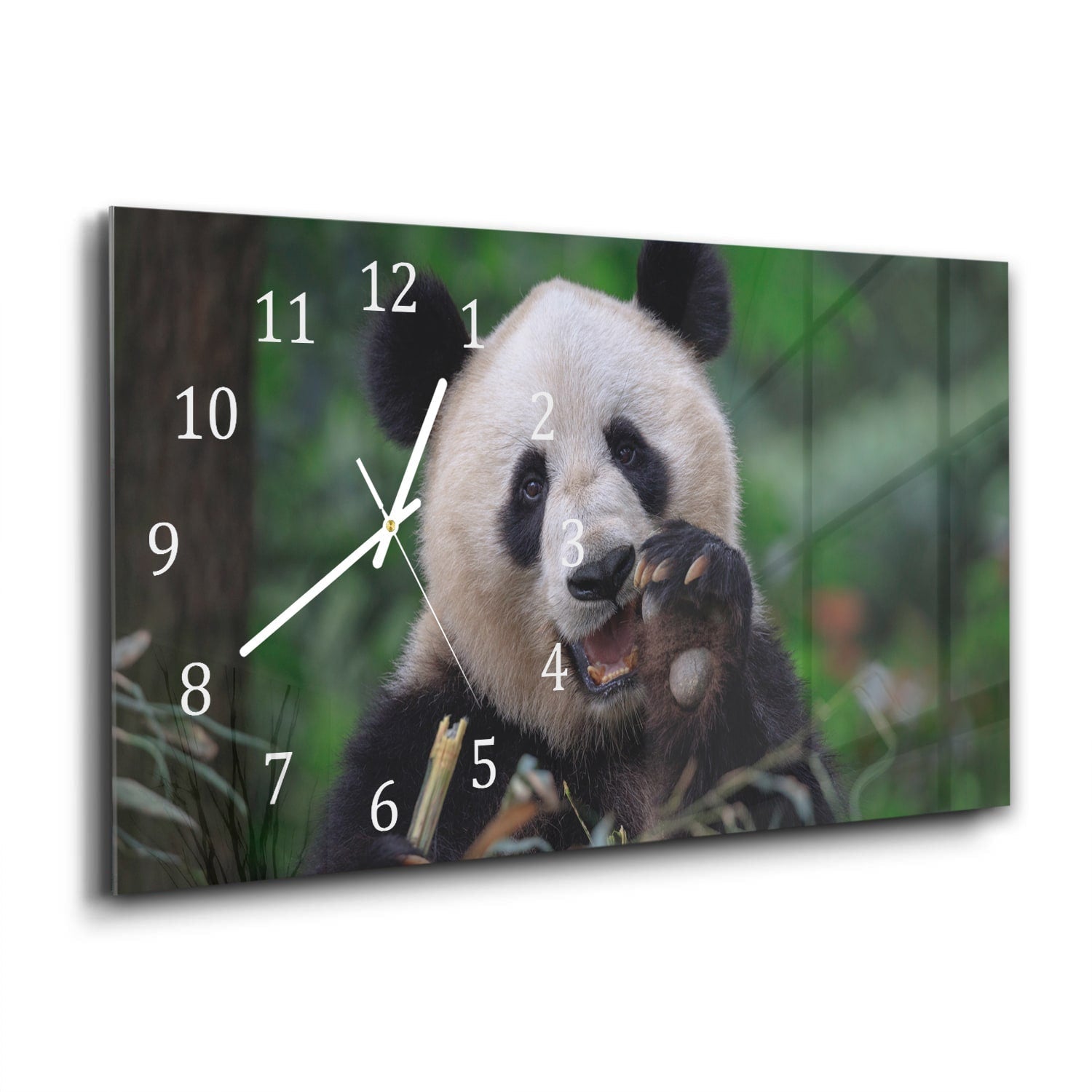 Wandklok 60x30 - Gehard Glas - Blije Panda