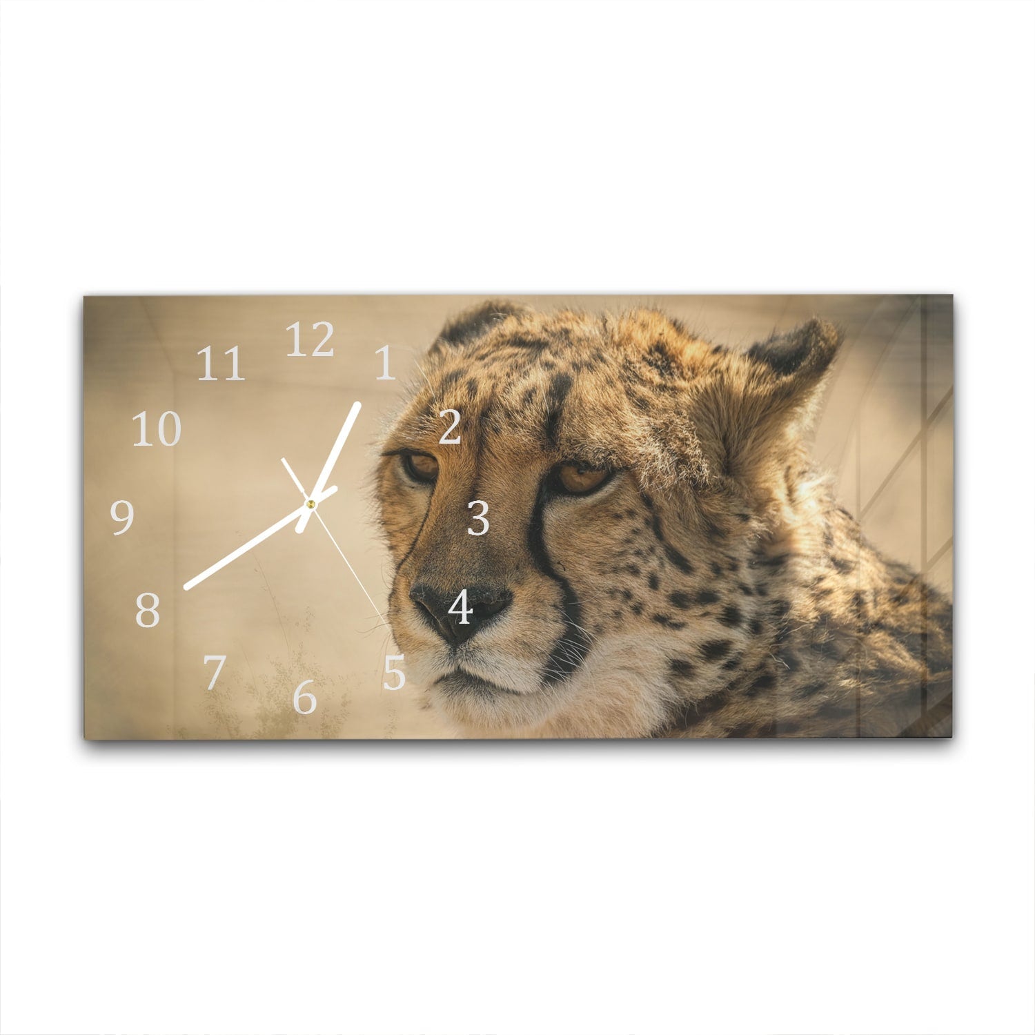 Wandklok 60x30 - Gehard Glas - Cheetah Close-up