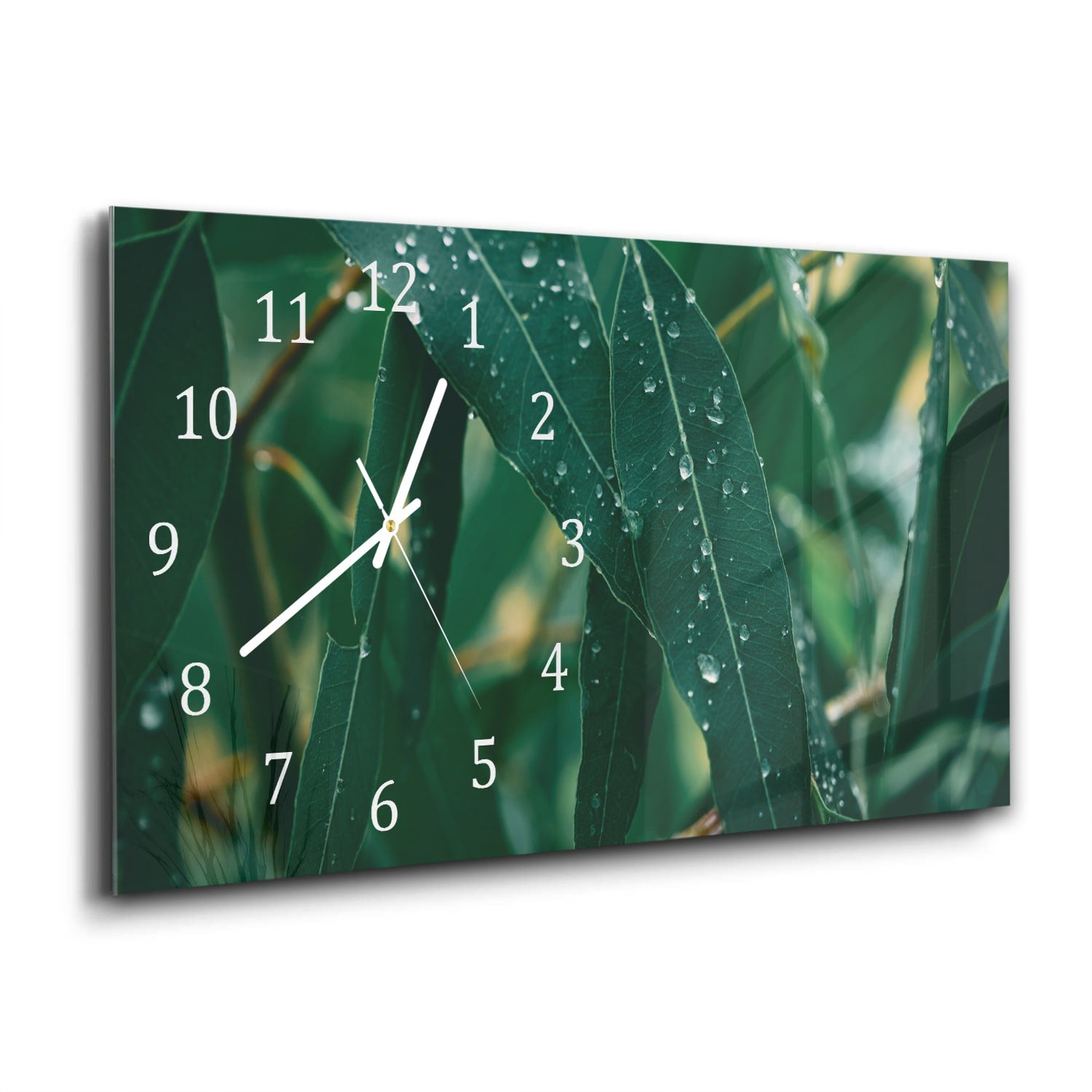 Wandklok 60x30 - Gehard Glas - Eucalyptus Bladeren