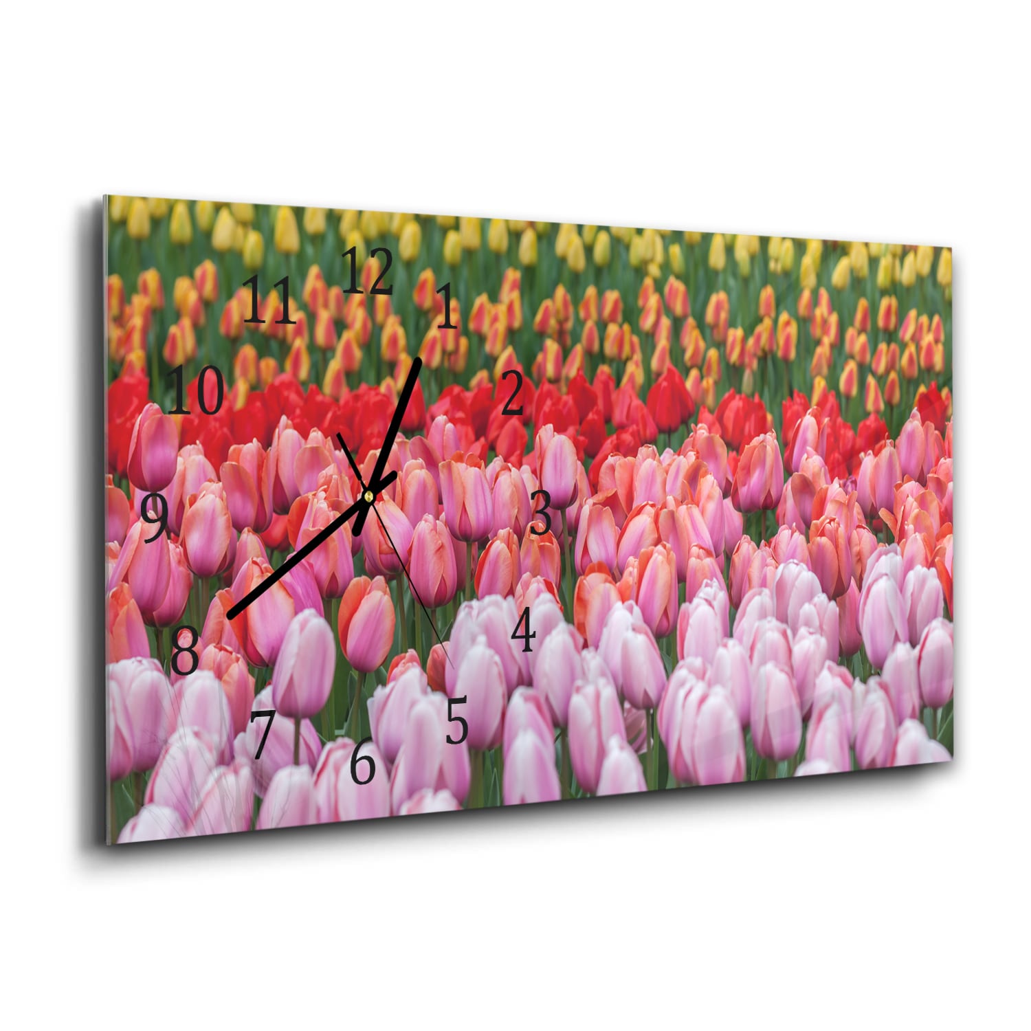 Wandklok 60x30 - Gehard Glas - Tulpenveld in Lisse