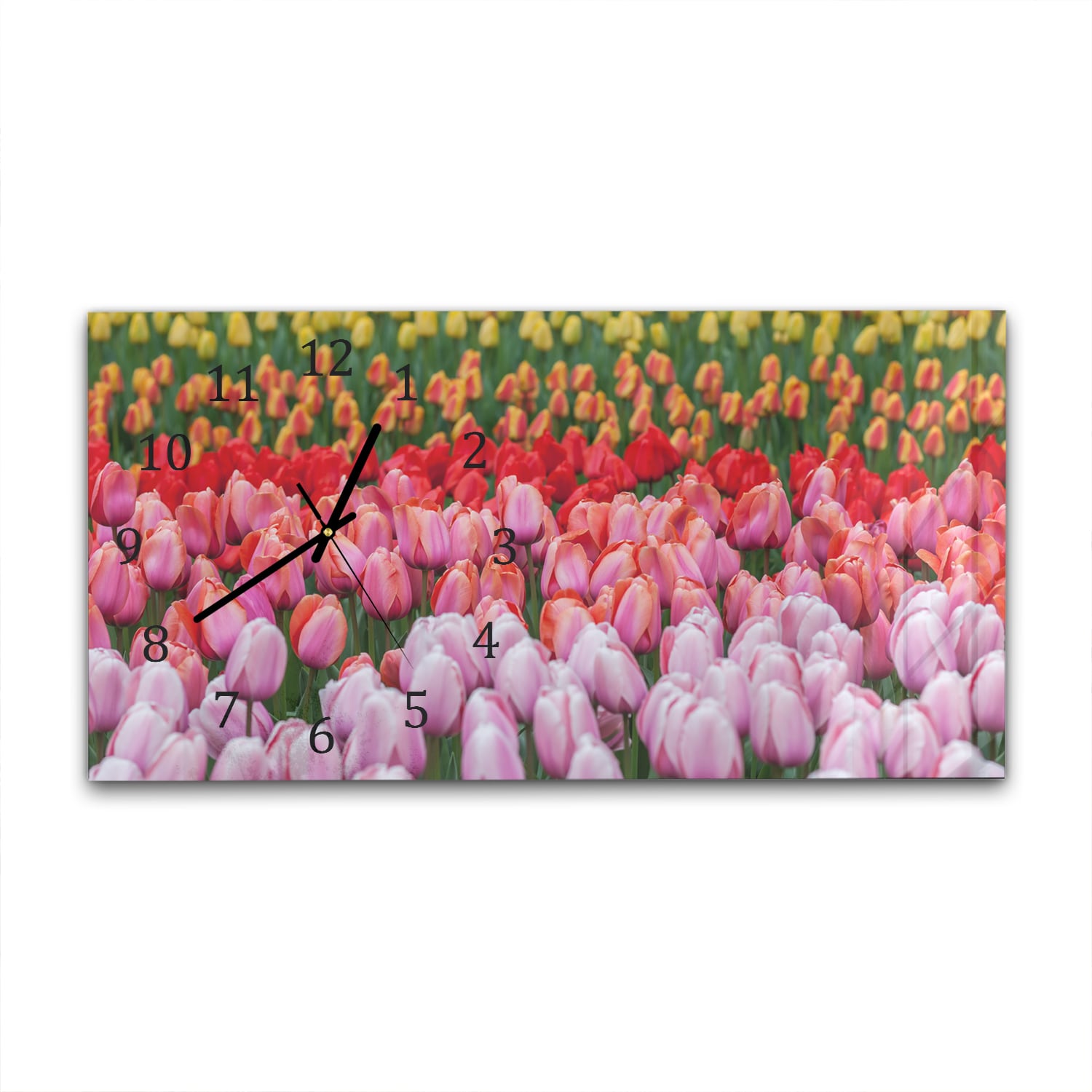 Wandklok 60x30 - Gehard Glas - Tulpenveld in Lisse