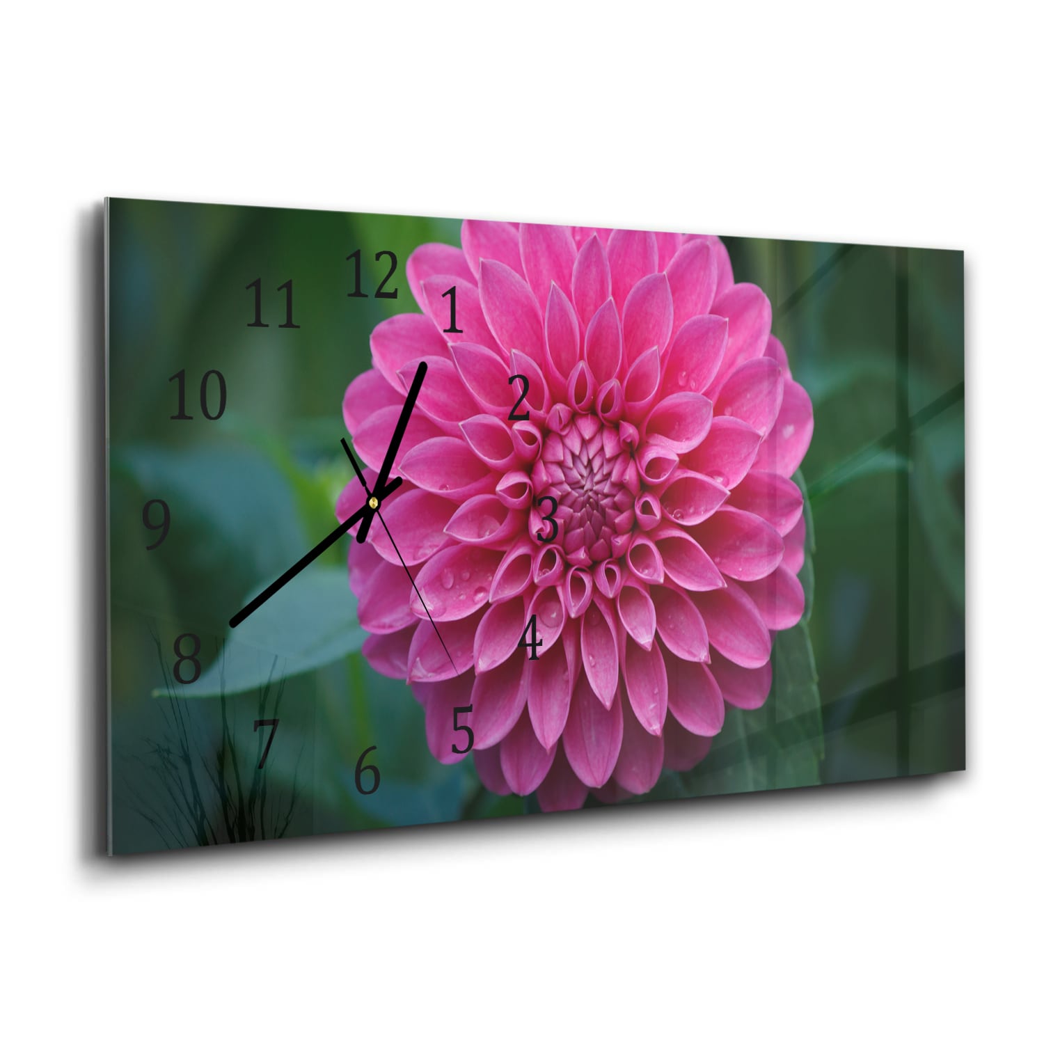 Wandklok 60x30 - Gehard Glas - Roze Dahlia