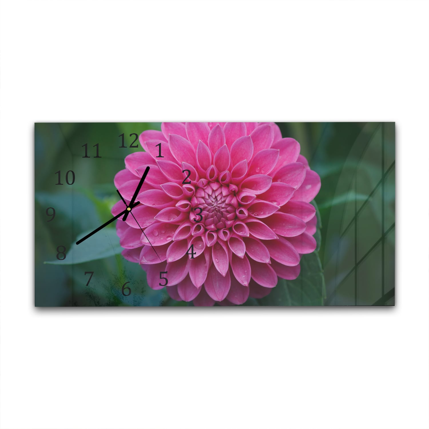 Wandklok 60x30 - Gehard Glas - Roze Dahlia