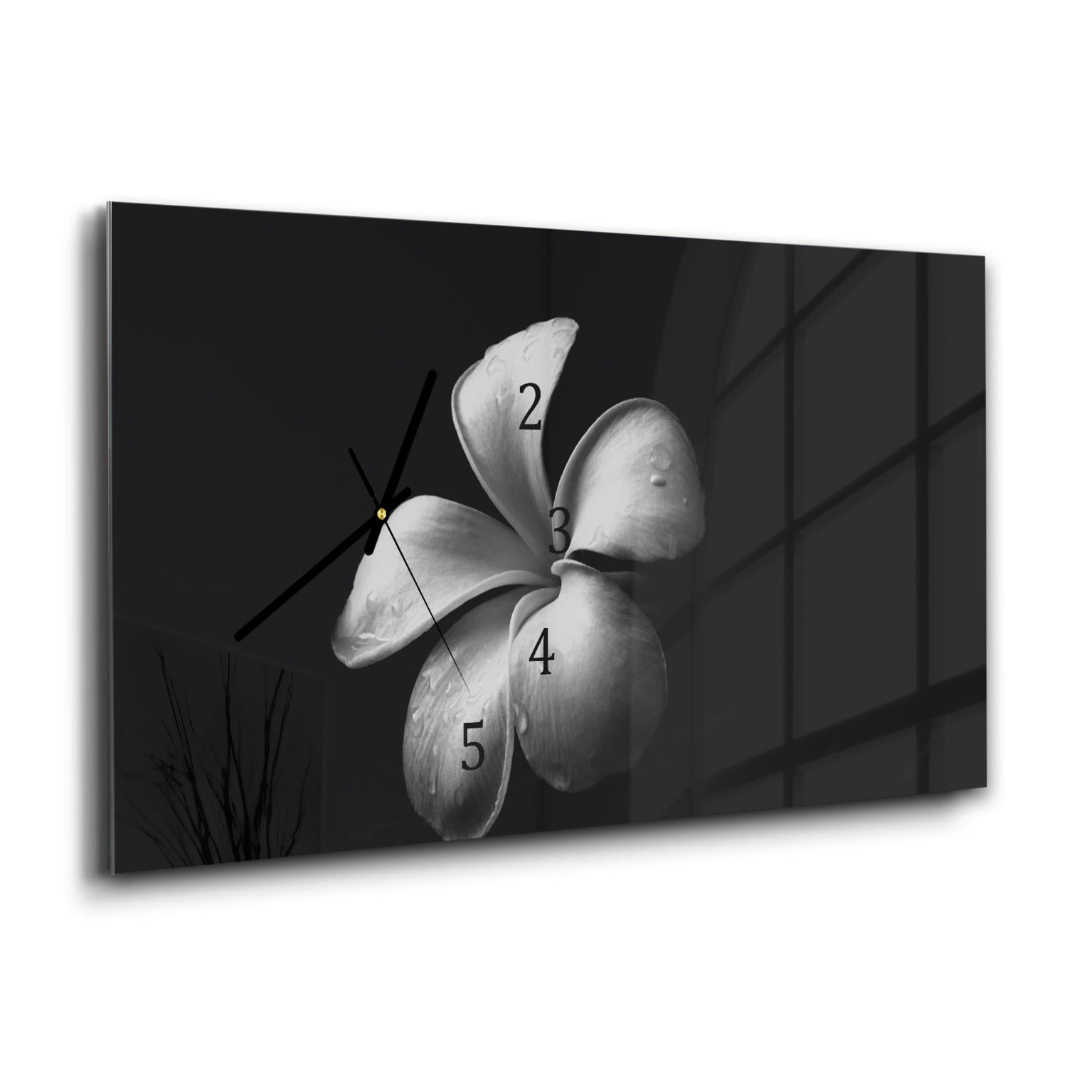 Wandklok 60x30 - Gehard Glas - Plumeria