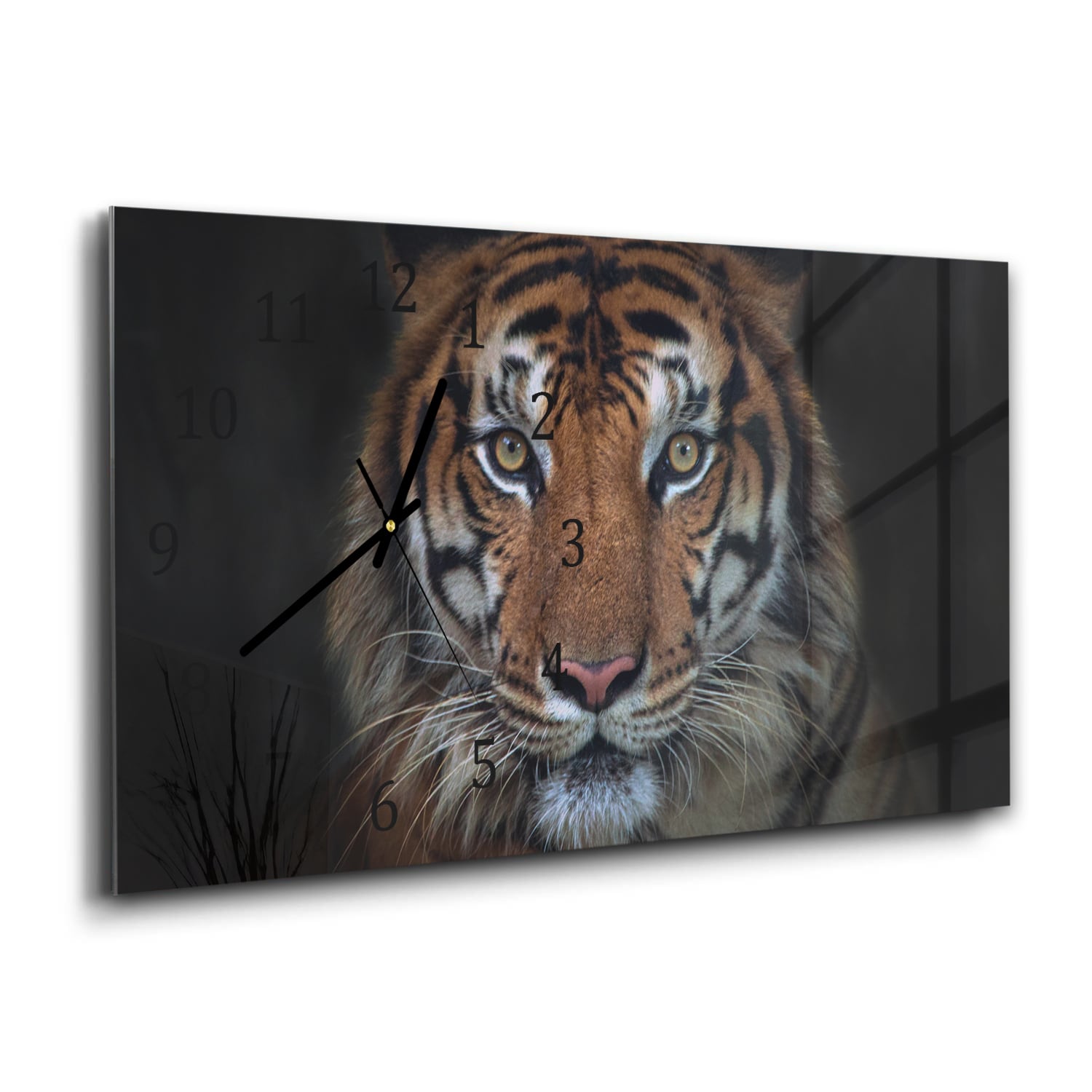 Wandklok 60x30 - Gehard Glas - Sumatraanse Boze Tijger