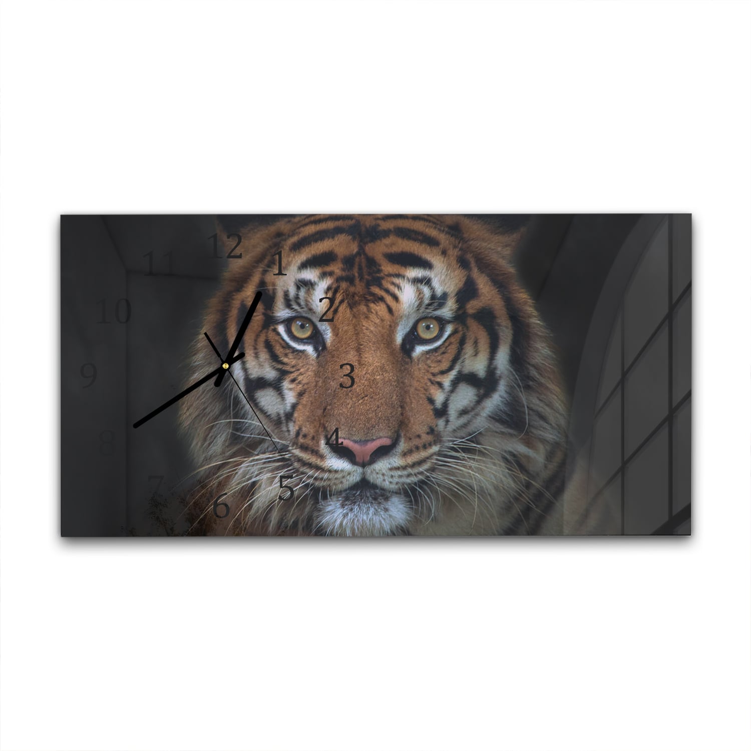 Wandklok 60x30 - Gehard Glas - Sumatraanse Boze Tijger