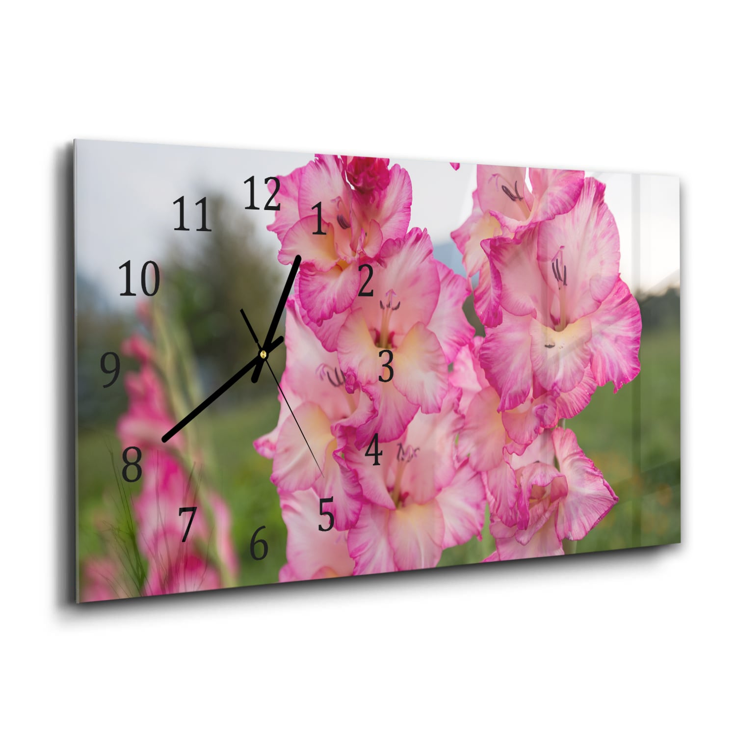 Wandklok 60x30 - Gehard Glas - Roze Gladiolen