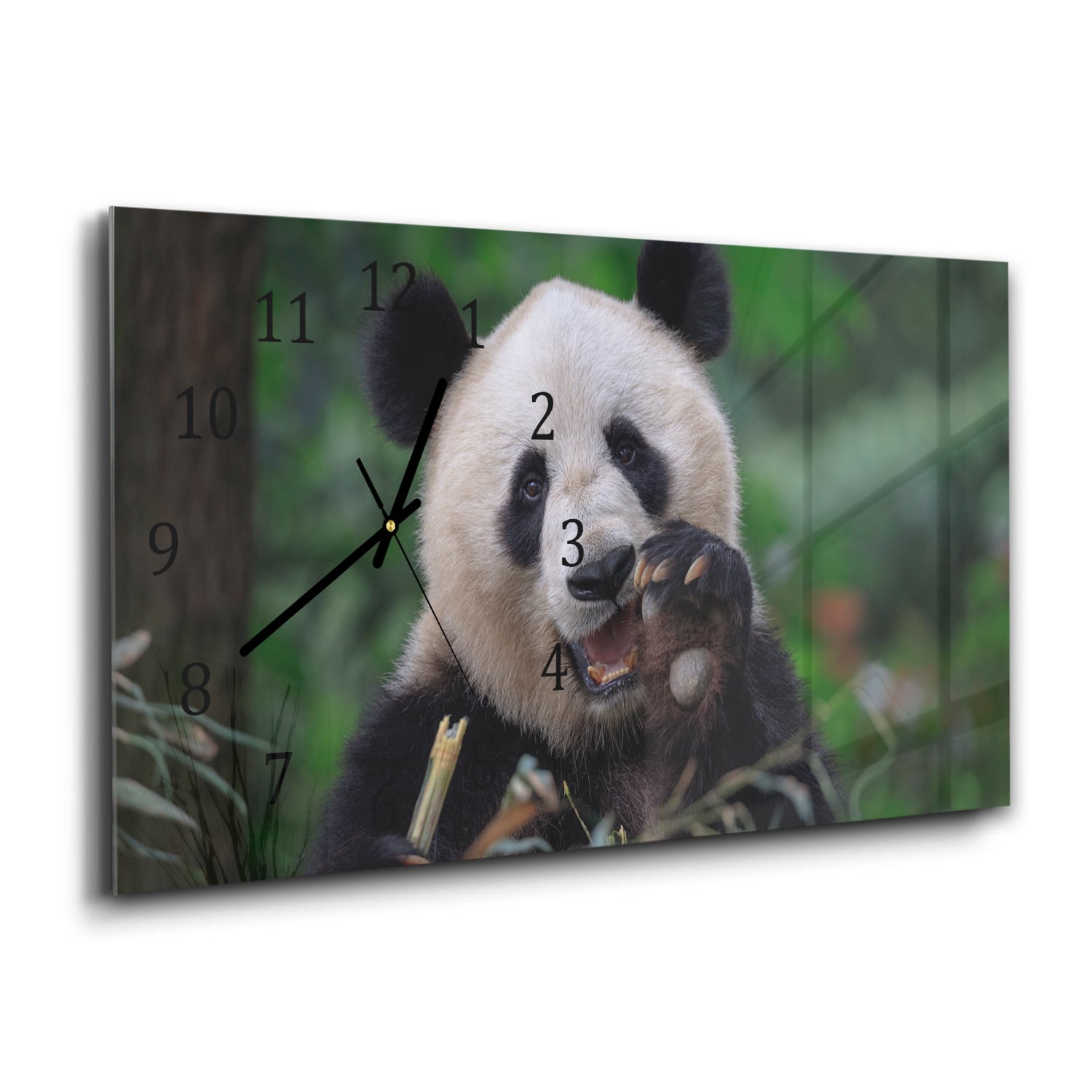 Wandklok 60x30 - Gehard Glas - Blije Panda