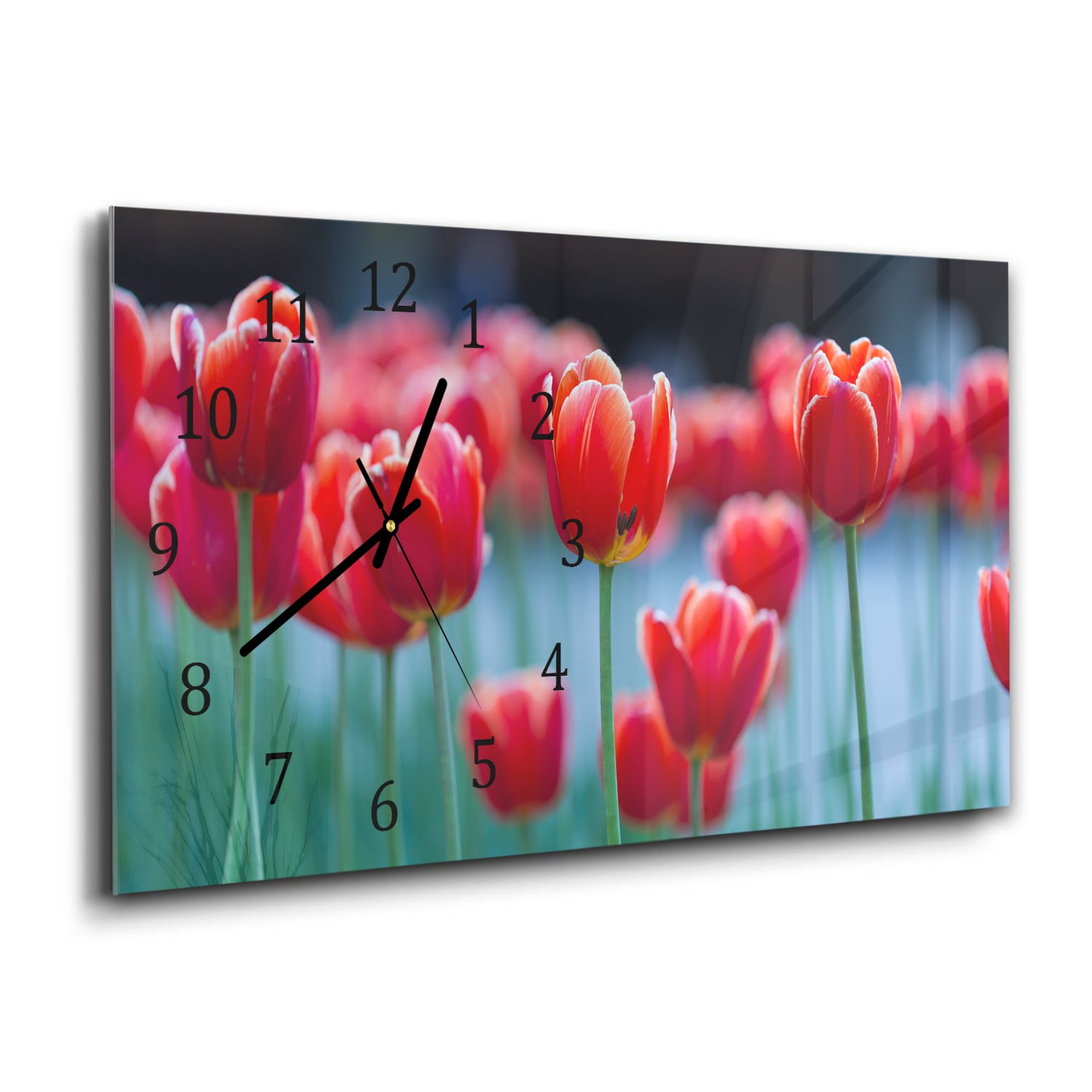 Wandklok 60x30 - Gehard Glas - Rode Tulpen