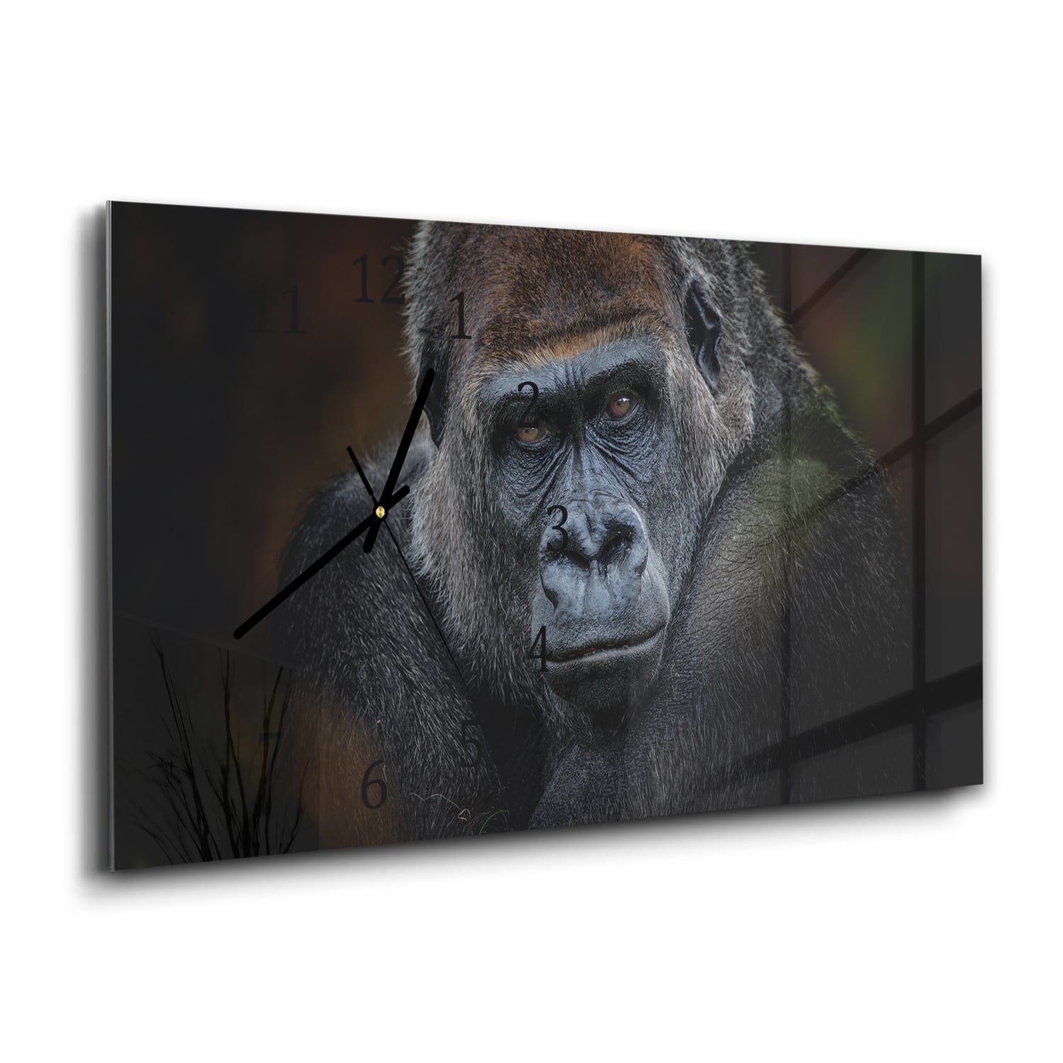 Wandklok 60x30 - Gehard Glas - Gorilla