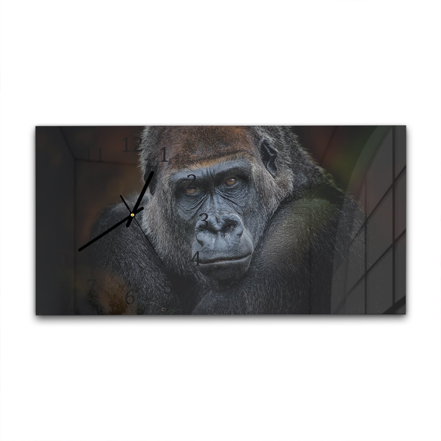 Wandklok 60x30 - Gehard Glas - Gorilla