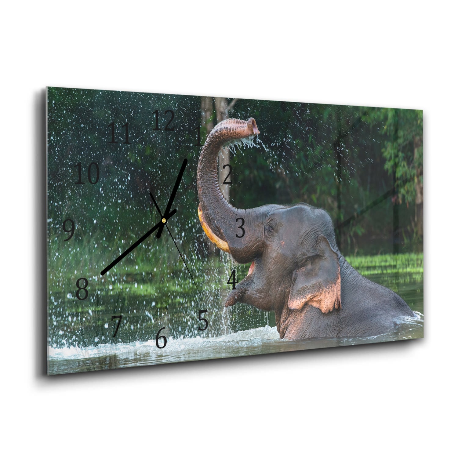 Wandklok 60x30 - Gehard Glas - Badende Olifant