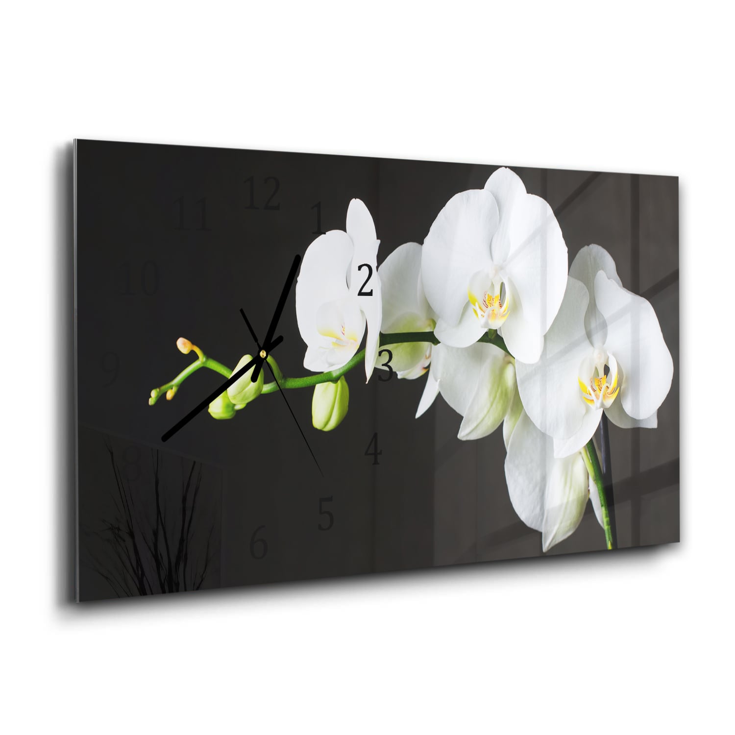 Wandklok 60x30 - Gehard Glas - Witte Orchideeën