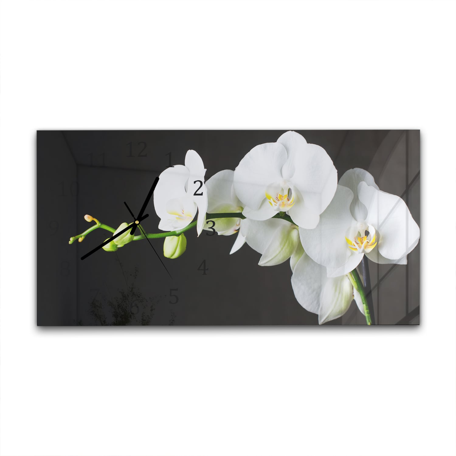 Wandklok 60x30 - Gehard Glas - Witte Orchideeën