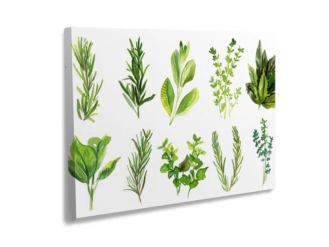 Metalen magneetbord met illustraties van verschillende groene kruiden
