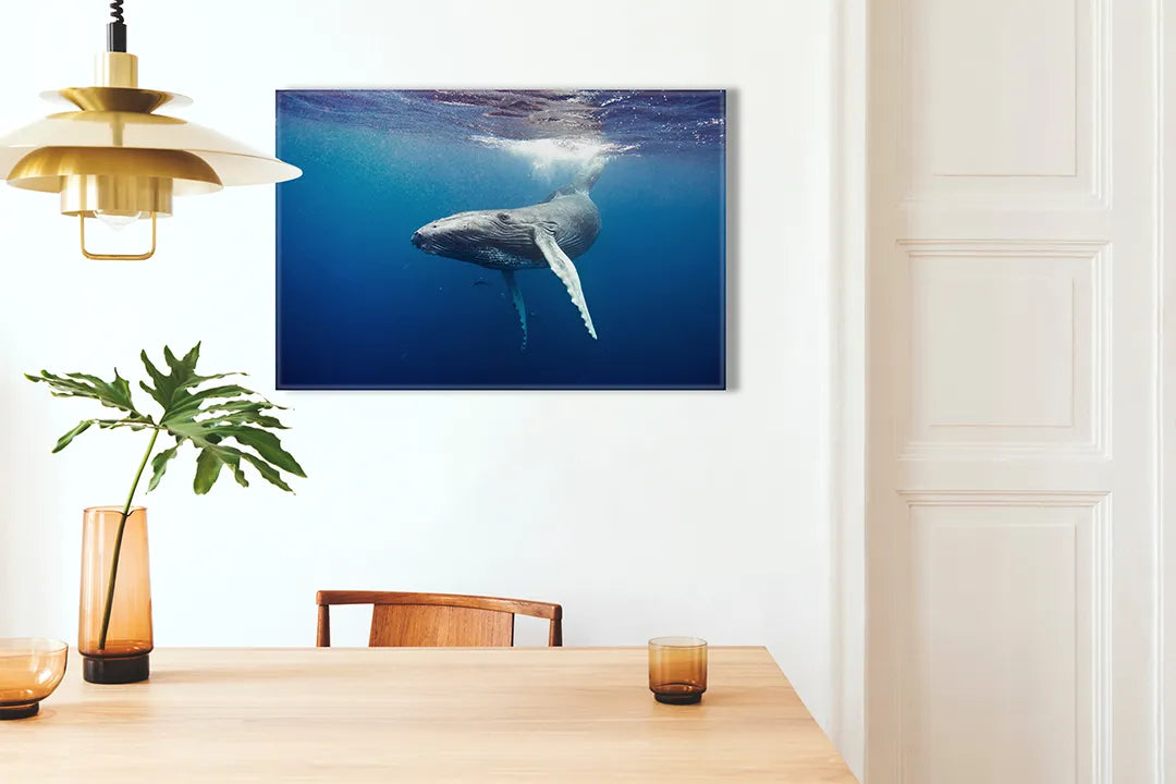 Metalen magneetbord met walvis onderwater scène – droog uitwisbaar & magnetisch