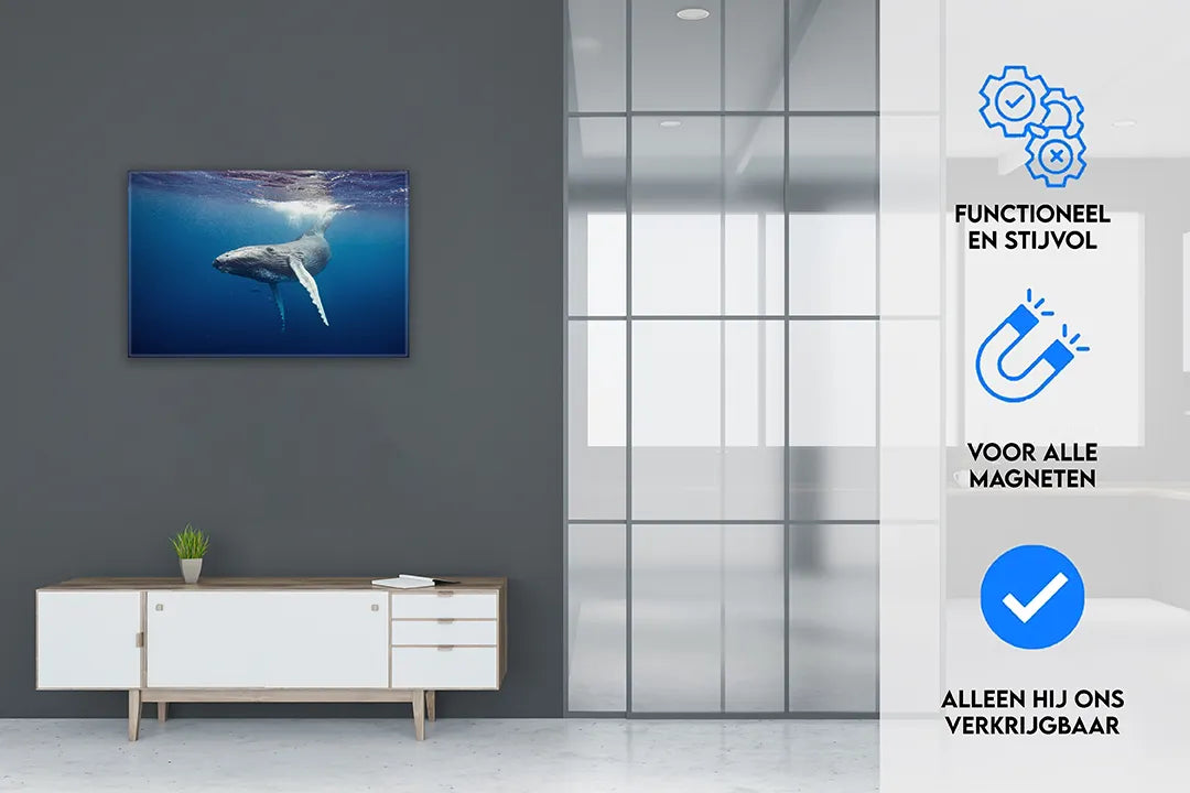 Metalen magneetbord met walvis onderwater scène – droog uitwisbaar & magnetisch