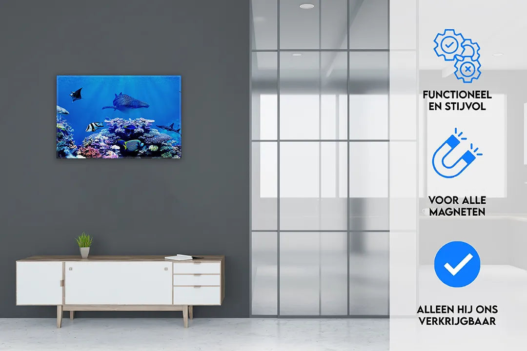 Metalen magneetbord met kleurrijk koraalrif – droog uitwisbaar & magnetisch