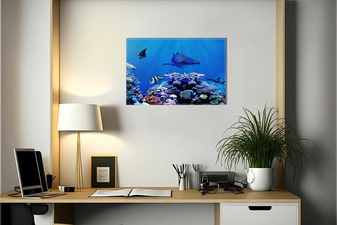 Metalen magneetbord met kleurrijk koraalrif – droog uitwisbaar & magnetisch