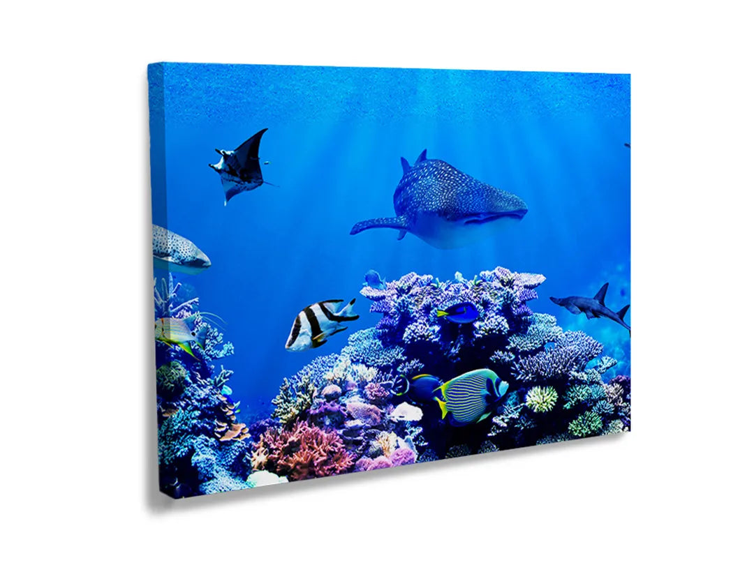 Metalen magneetbord met een kleurrijk koraalrif en vissen