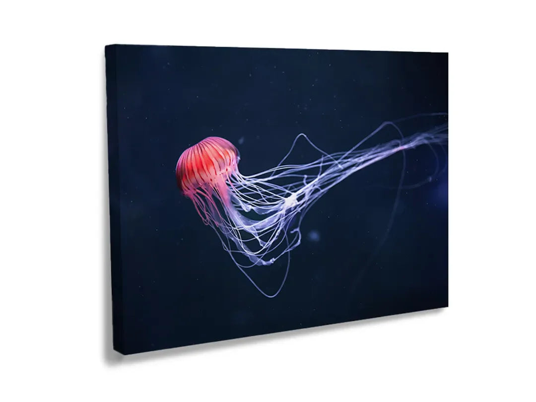 Metalen magneetbord met kleurrijke kwal op een donkere achtergrond.