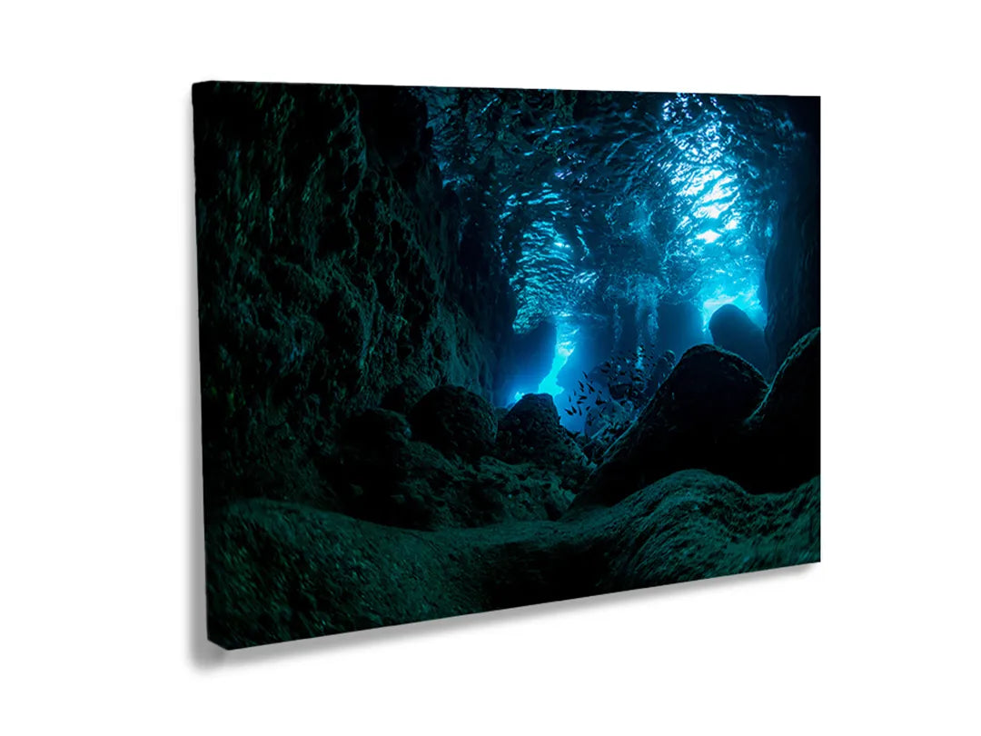 Metalen magneetbord van een onderwaterwereld met vissen