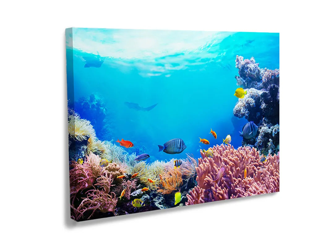 Metalen bord met kleurrijke onderwaterwereld en vissen.