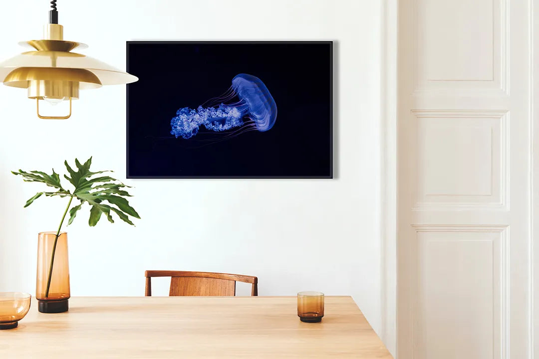 Metalen magneetbord met blauwe kwal op zwart – droog uitwisbaar & magnetisch