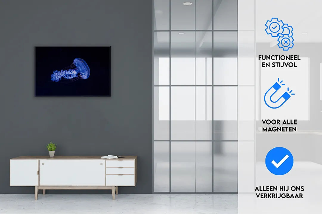 Metalen magneetbord met blauwe kwal op zwart – droog uitwisbaar & magnetisch