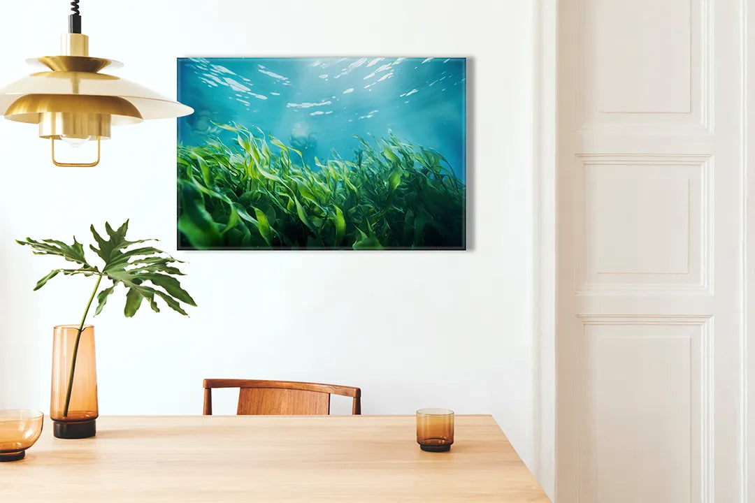 Metalen magneetbord met onderwaterplanten – droog uitwisbaar & magnetisch