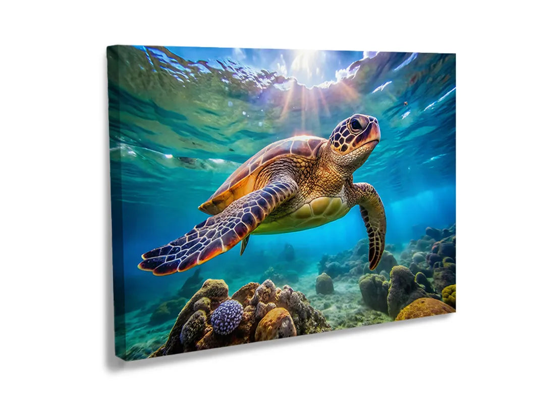 Metalen bord met afbeelding van een zeeschildpad in helder water.