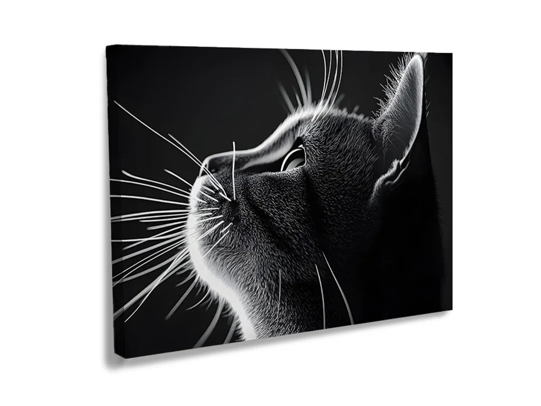 Metalen bord met een zwart-wit afbeelding van een kattenprofiel.