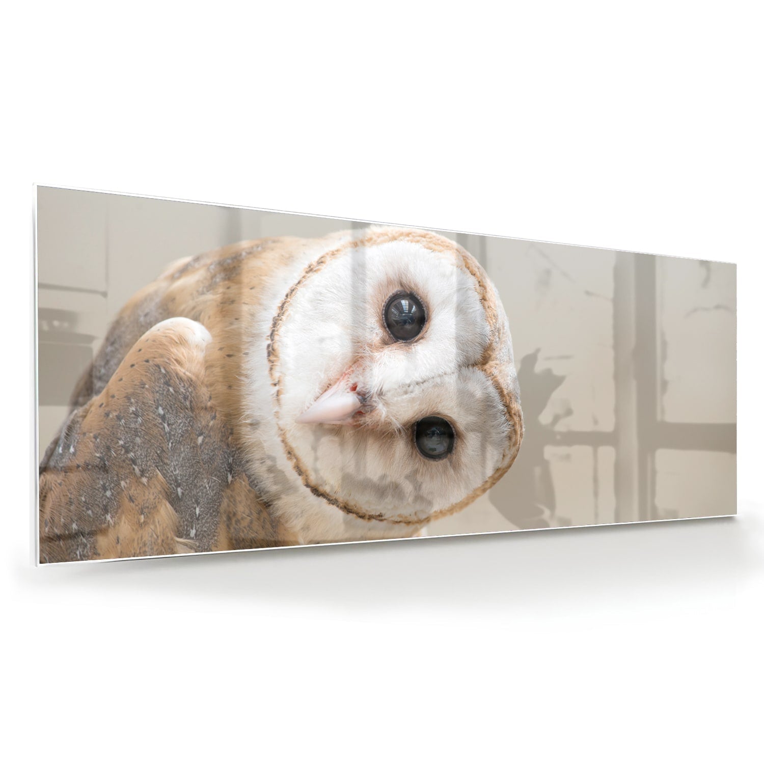 Glazen schilderij van een nieuwsgierige uil aan de muur in een moderne interieursetting.