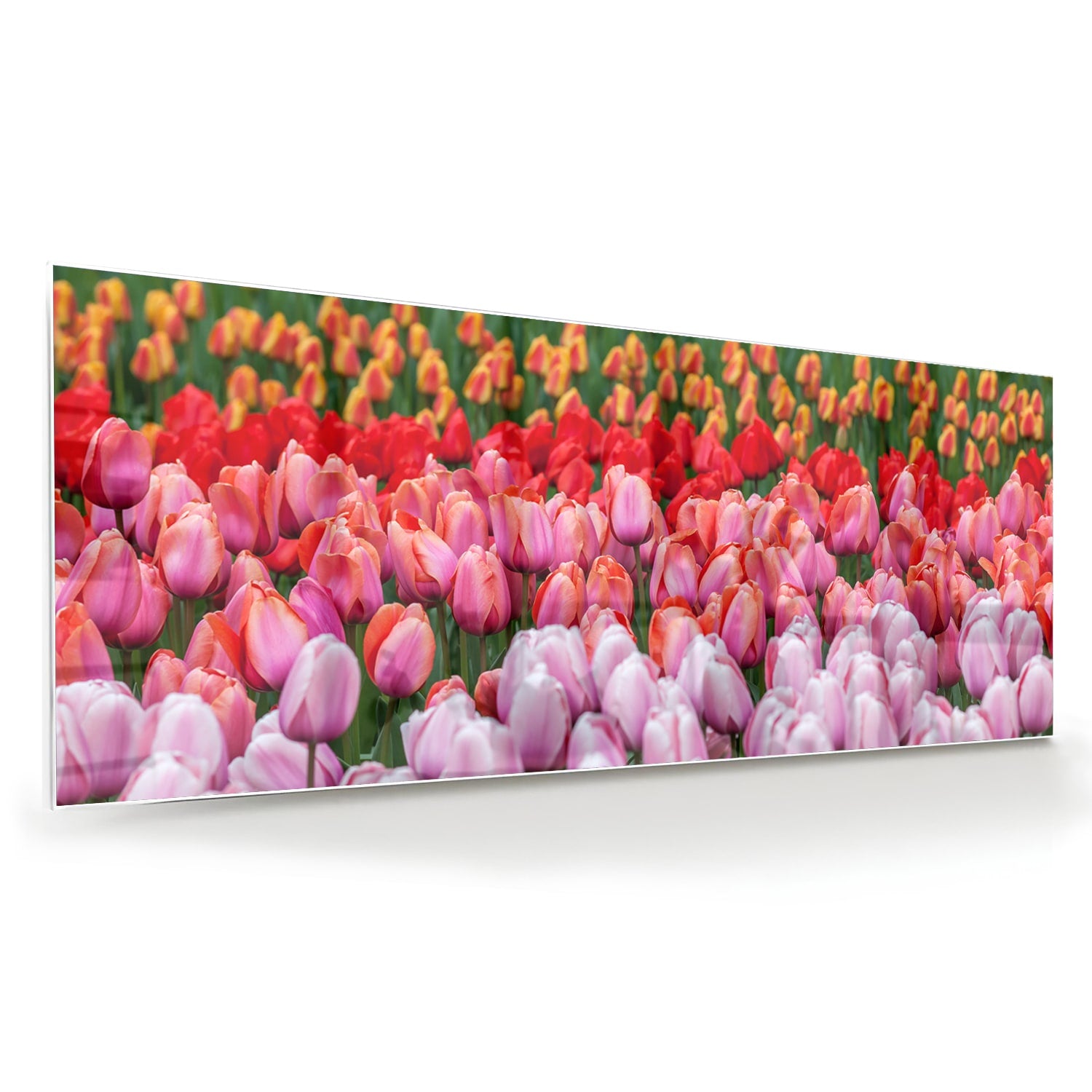 Glazen schilderij van kleurrijke tulpen in een tuin setting.