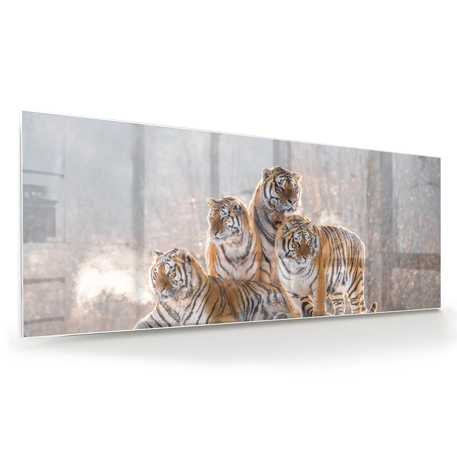 Glazen schilderij met drie tijgers in een moderne woonkamer.