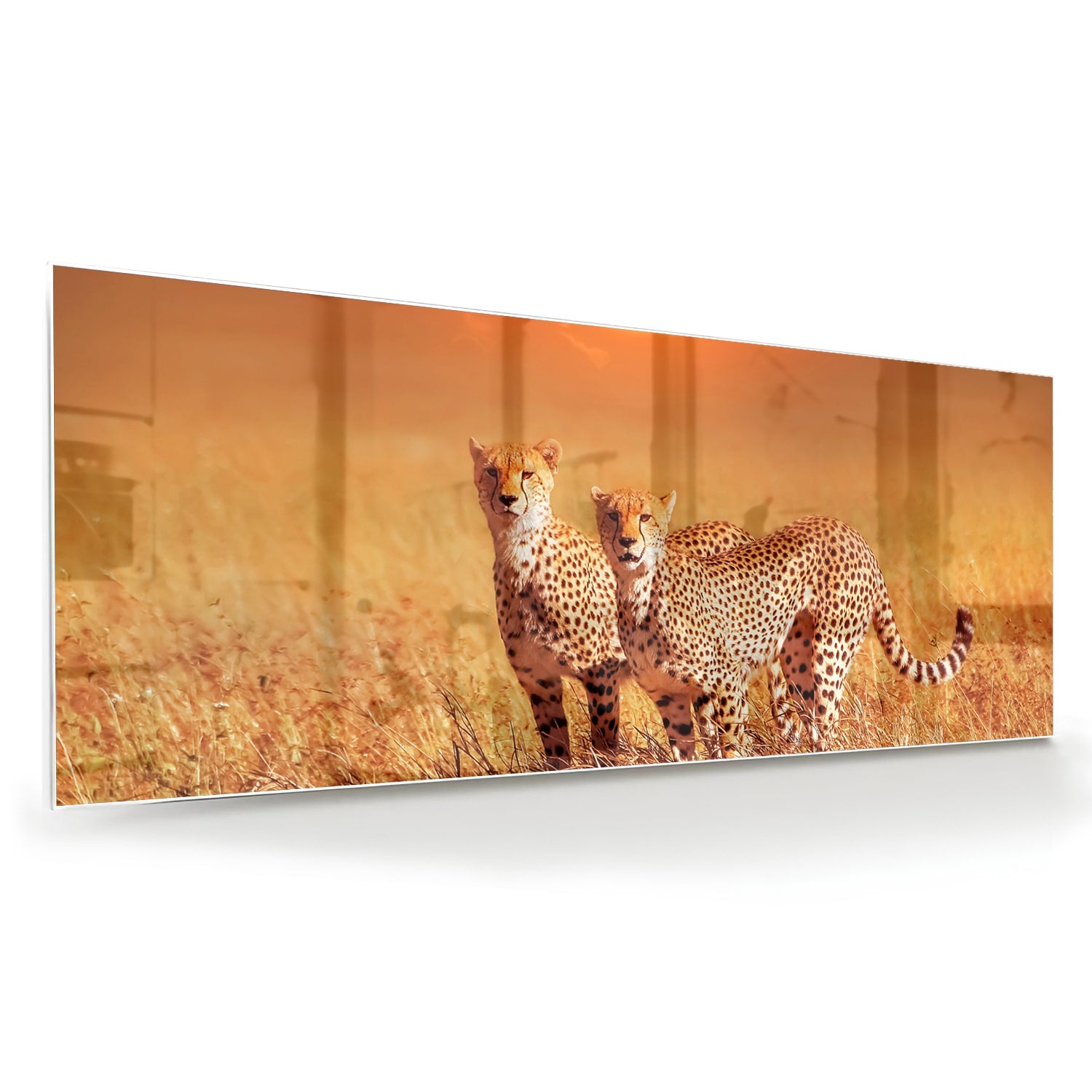 Glazen schilderij van twee cheeta's in een gouden savanne bij zonsondergang.