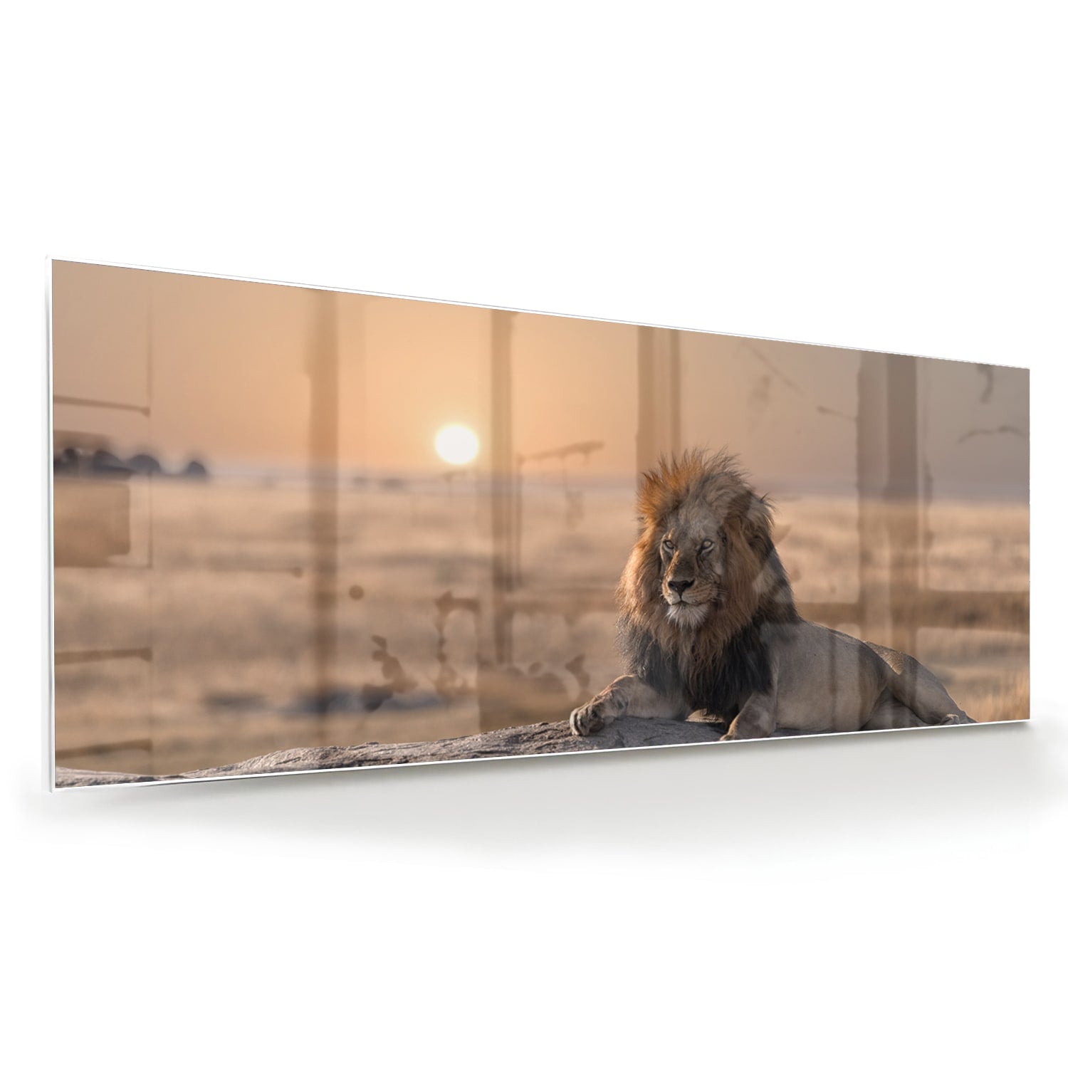 Glazen schilderij van een leeuw die op een rots ligt met zonsondergang op de achtergrond.