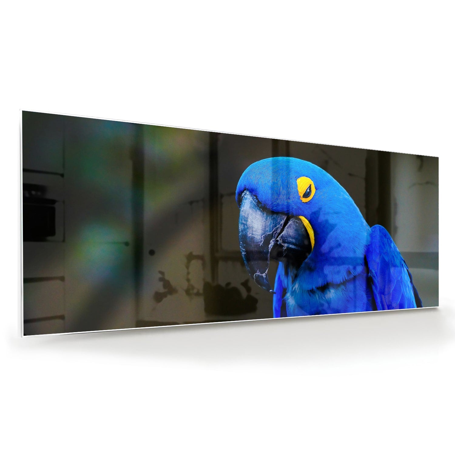Glazen schilderij van een blauwe ara, ideaal voor wanddecoratie.