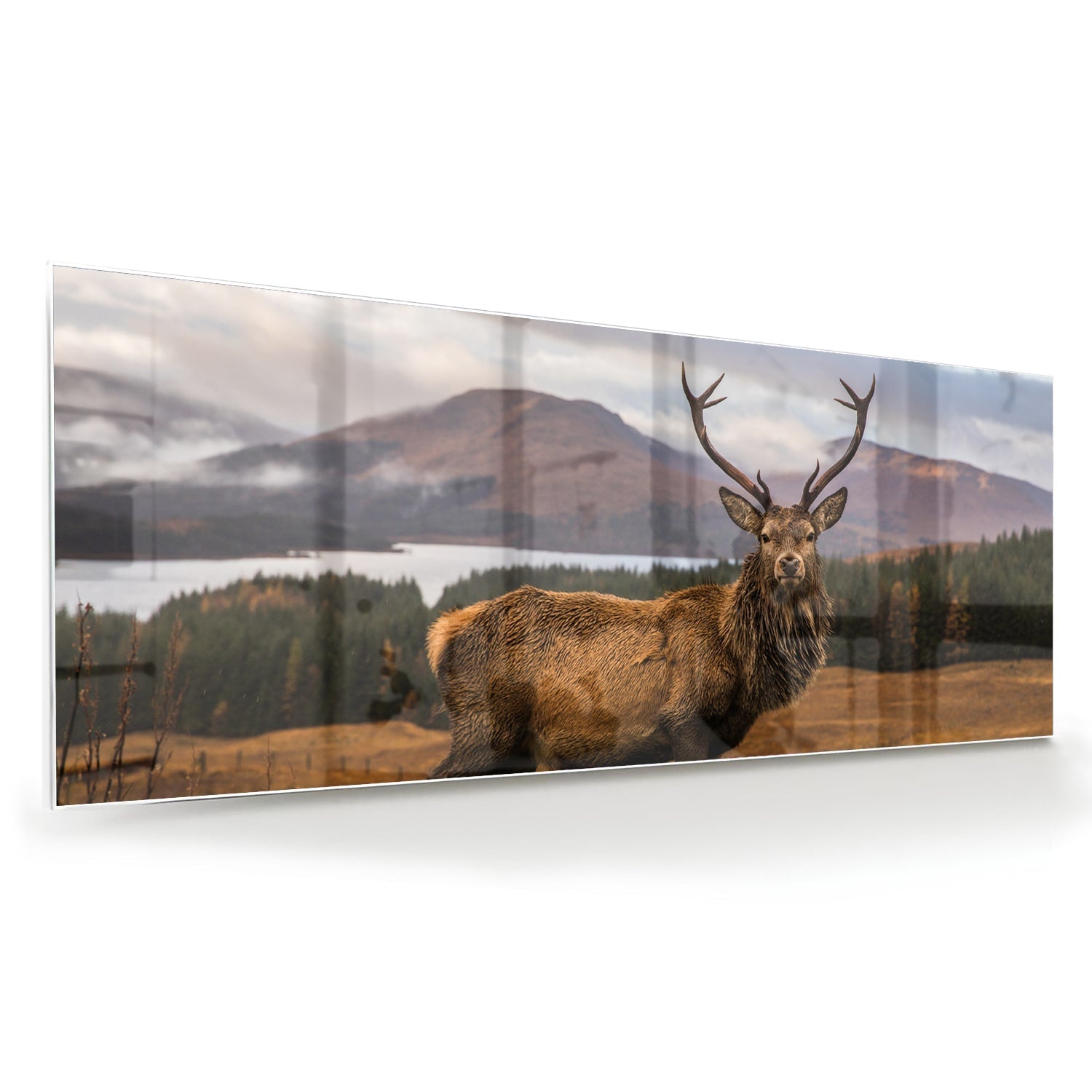 Glazen schilderij van een hert op een natuurlijke achtergrond.