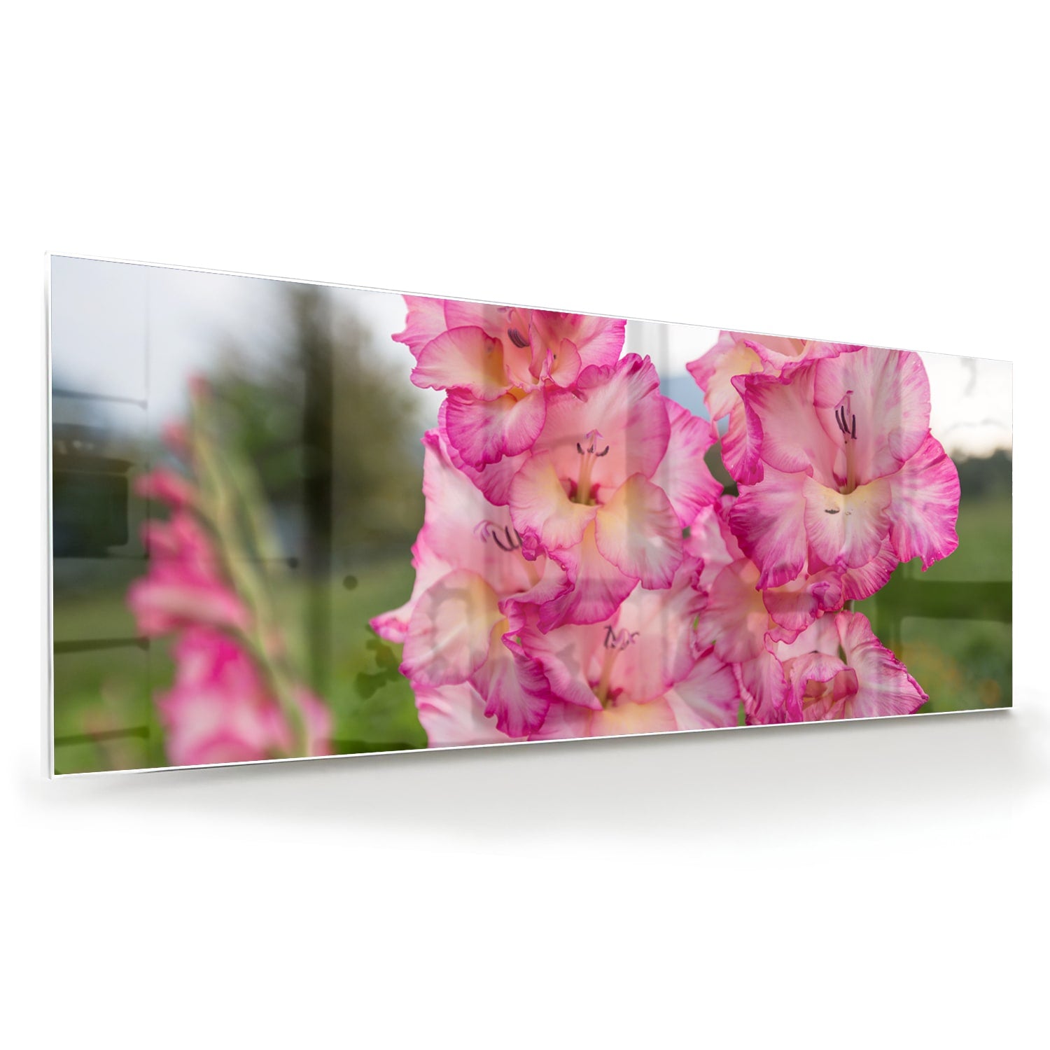 Glazen schilderij van roze gladiolen, een elegant decoratief stuk voor de muur.