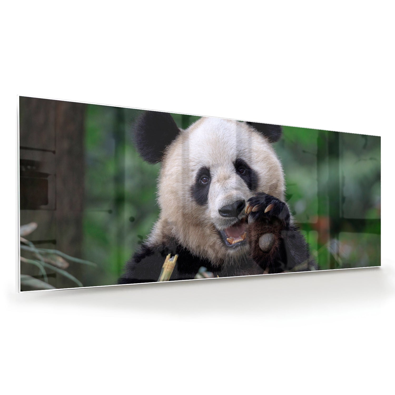 Glazen schilderij met een panda in een groene omgeving, perfect voor mooie interieurdecoratie.