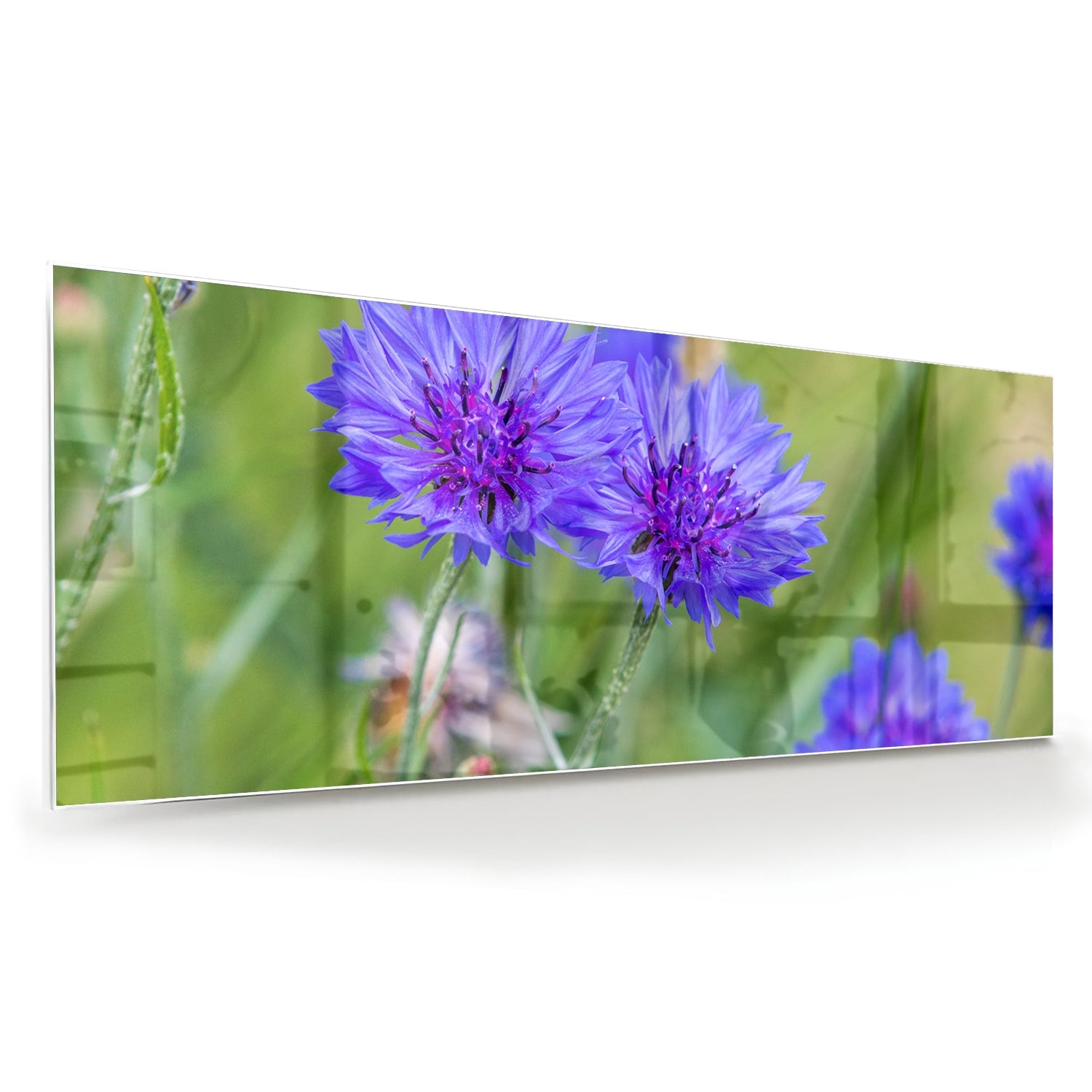 Glazen schilderij met paarse bloemen in een moderne woonkamer.
